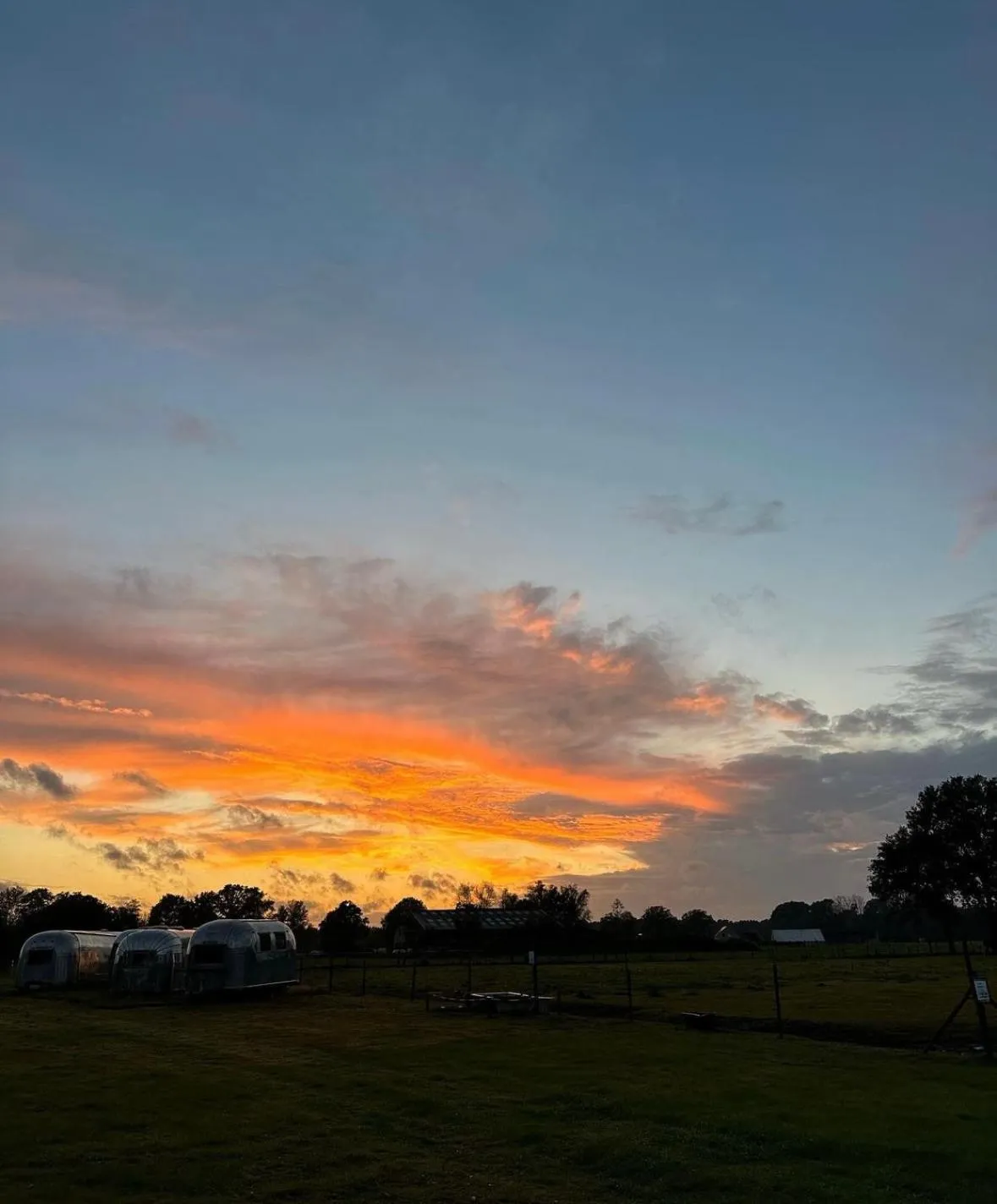 Garden in B&B Droomzoet