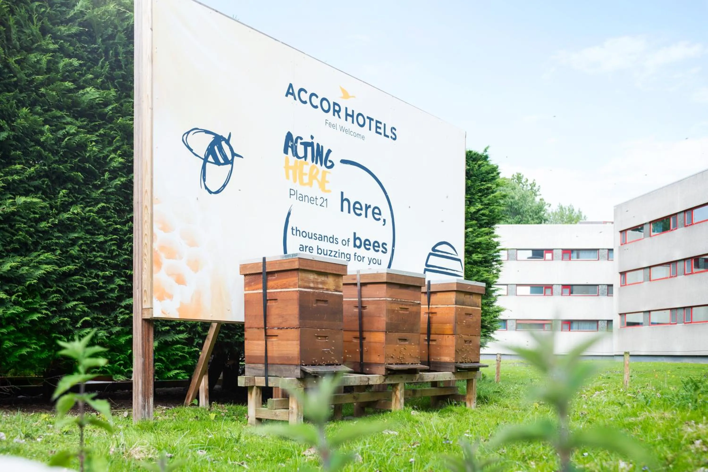 Area and facilities in Ibis Schiphol Amsterdam Airport