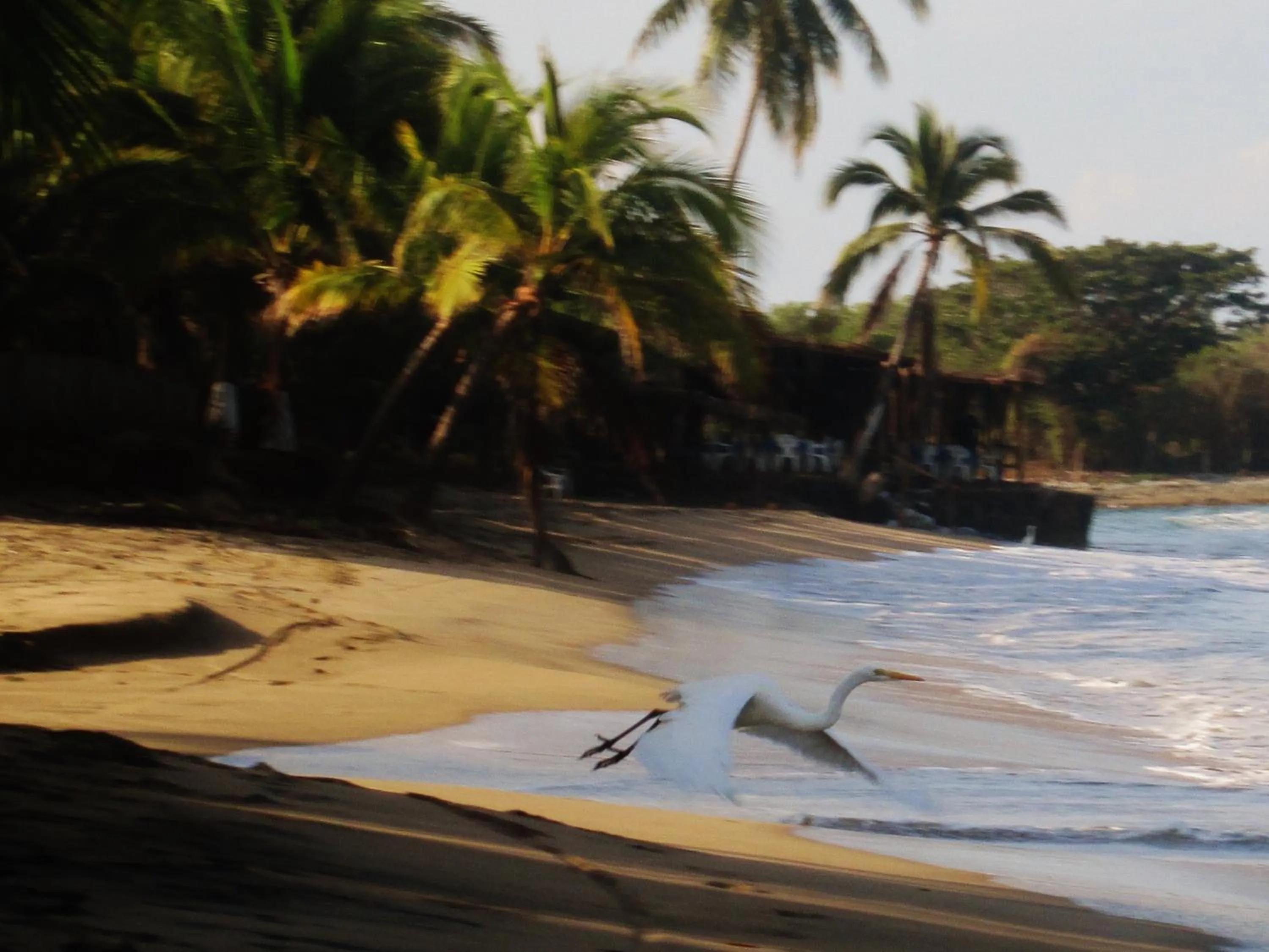 Beach in Hacienda La Rusa