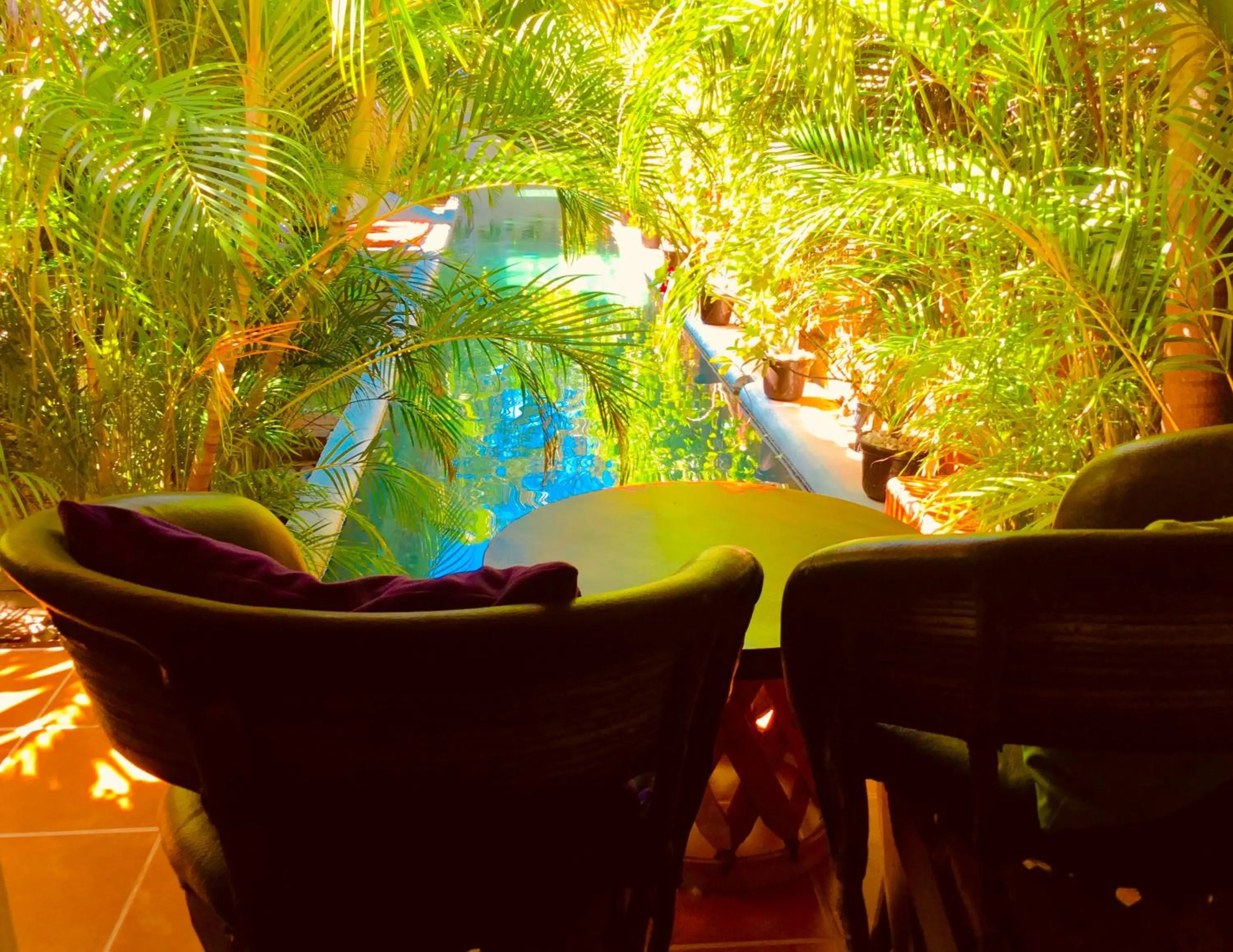 Patio in Hacienda La Rusa