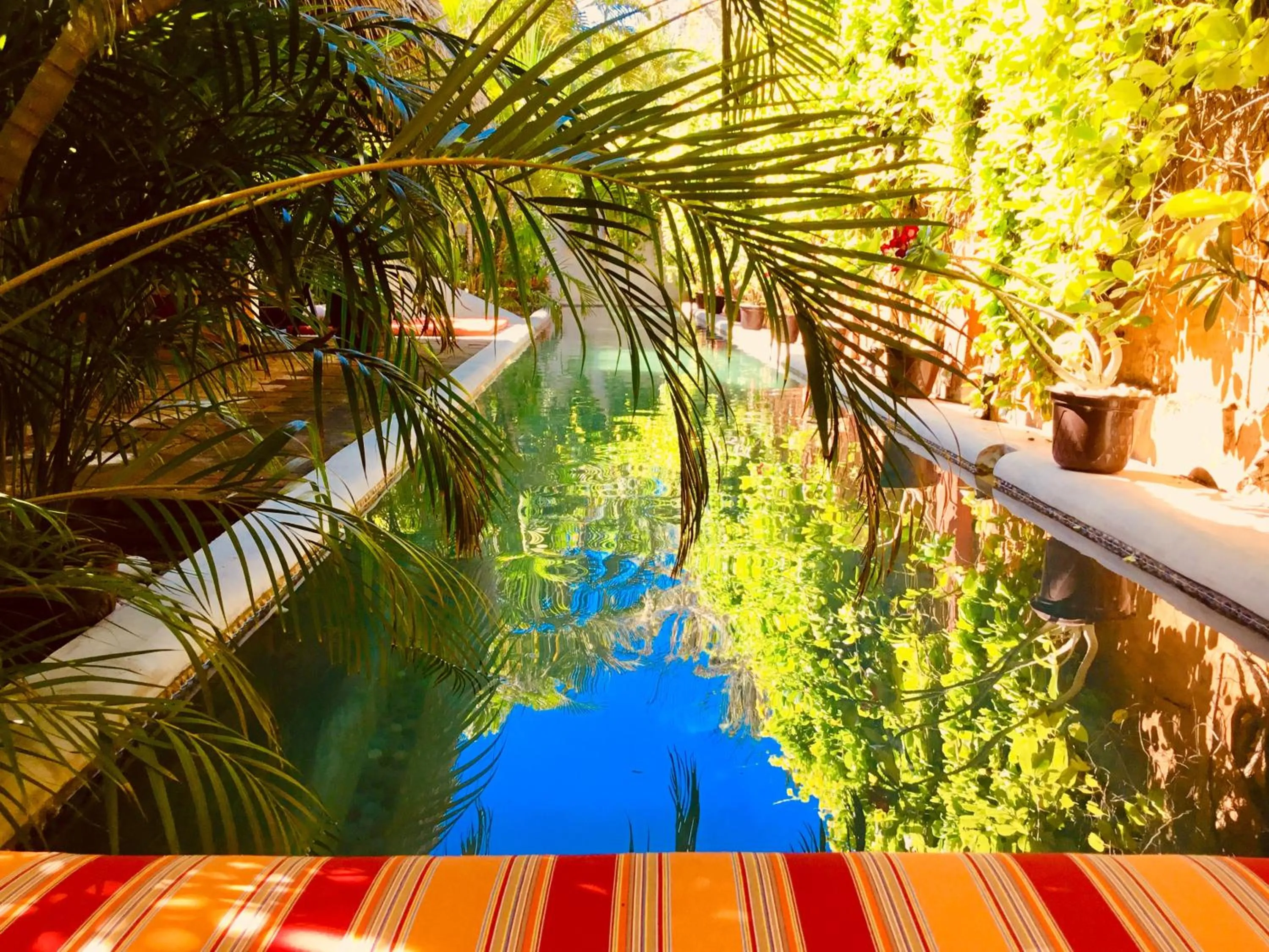 Pool view in Hacienda La Rusa