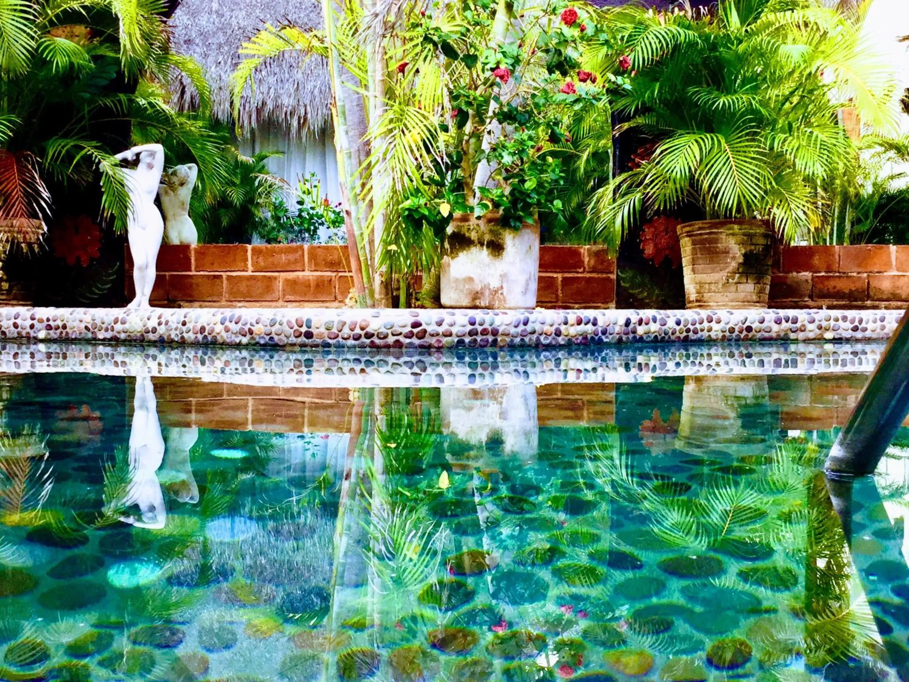 Swimming pool in Hacienda La Rusa