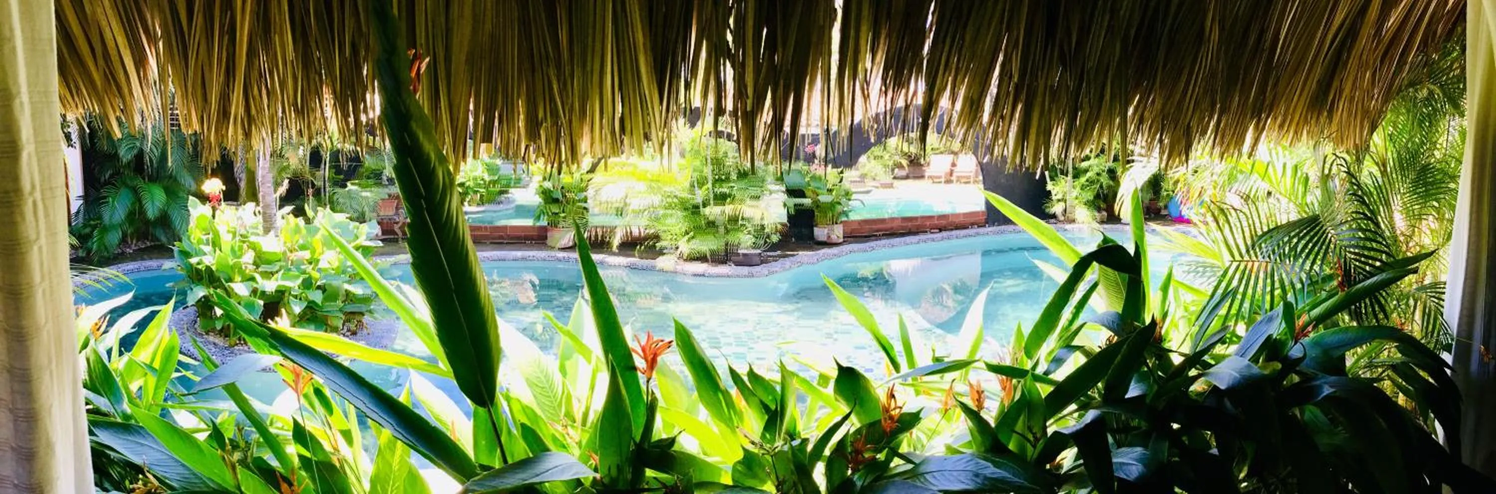 Pool view in Hacienda La Rusa