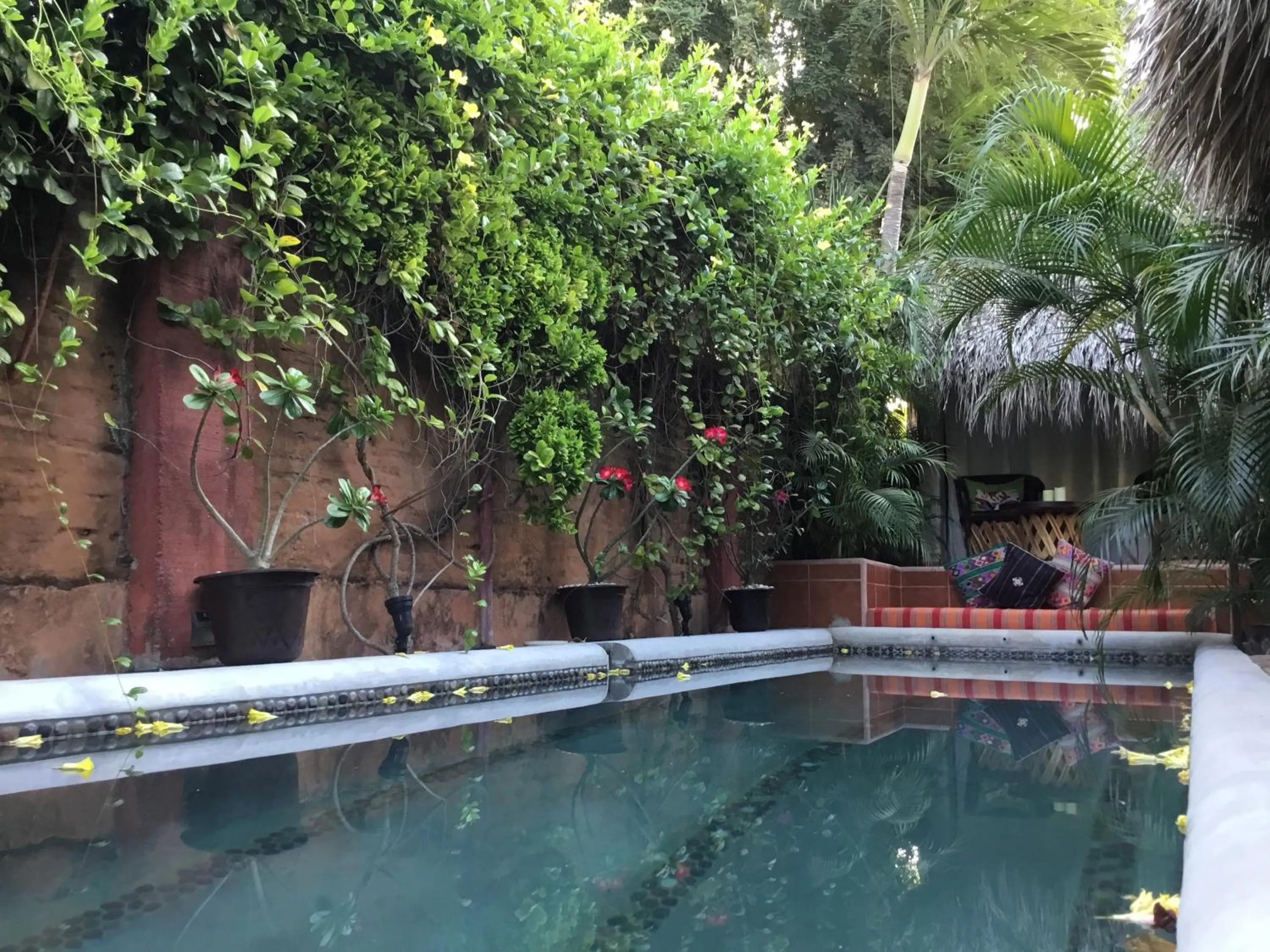 Swimming pool in Hacienda La Rusa