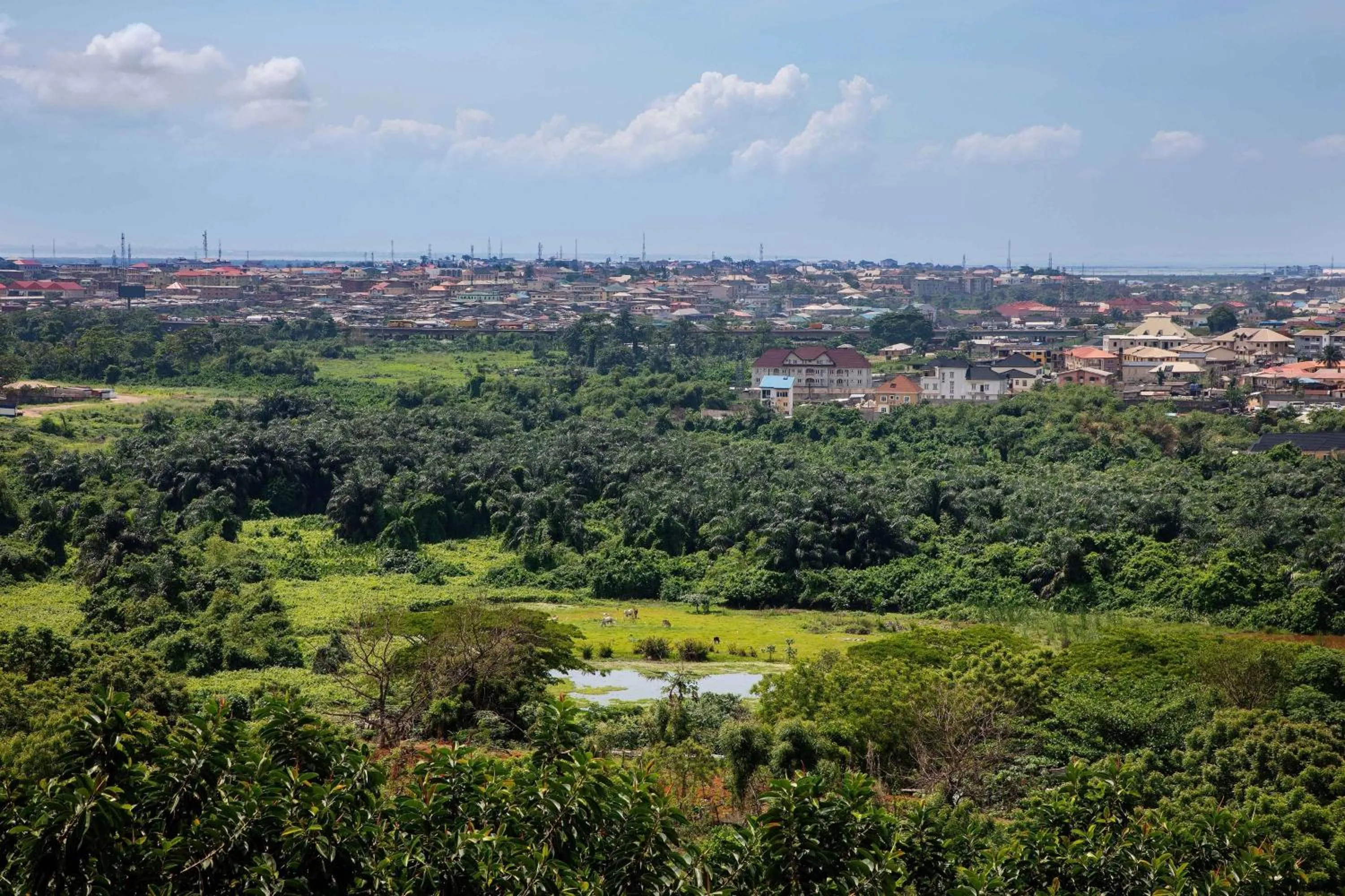 Photo of the whole room in Sheraton Lagos Hotel