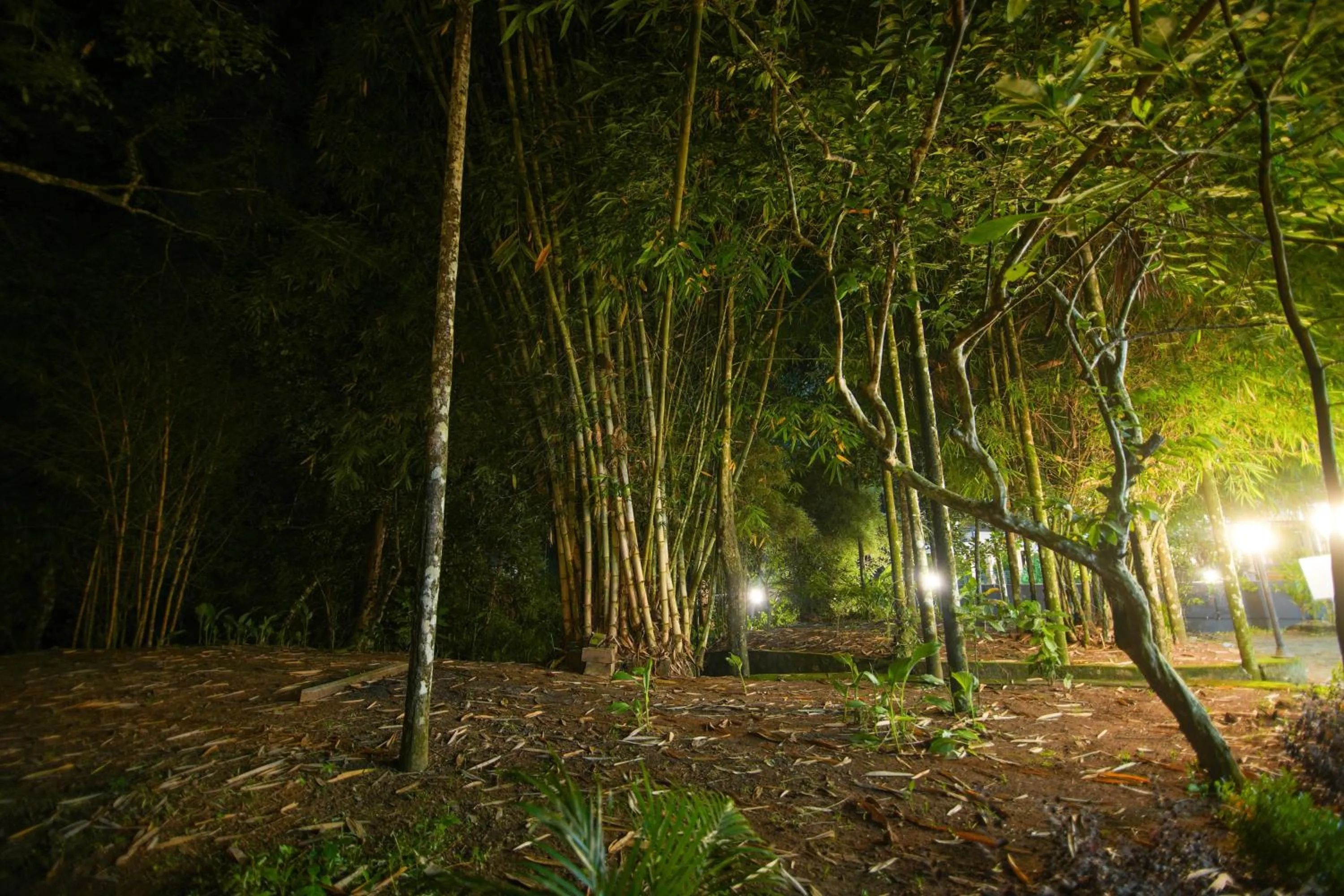 Night in B'camp Resorts & Homestays