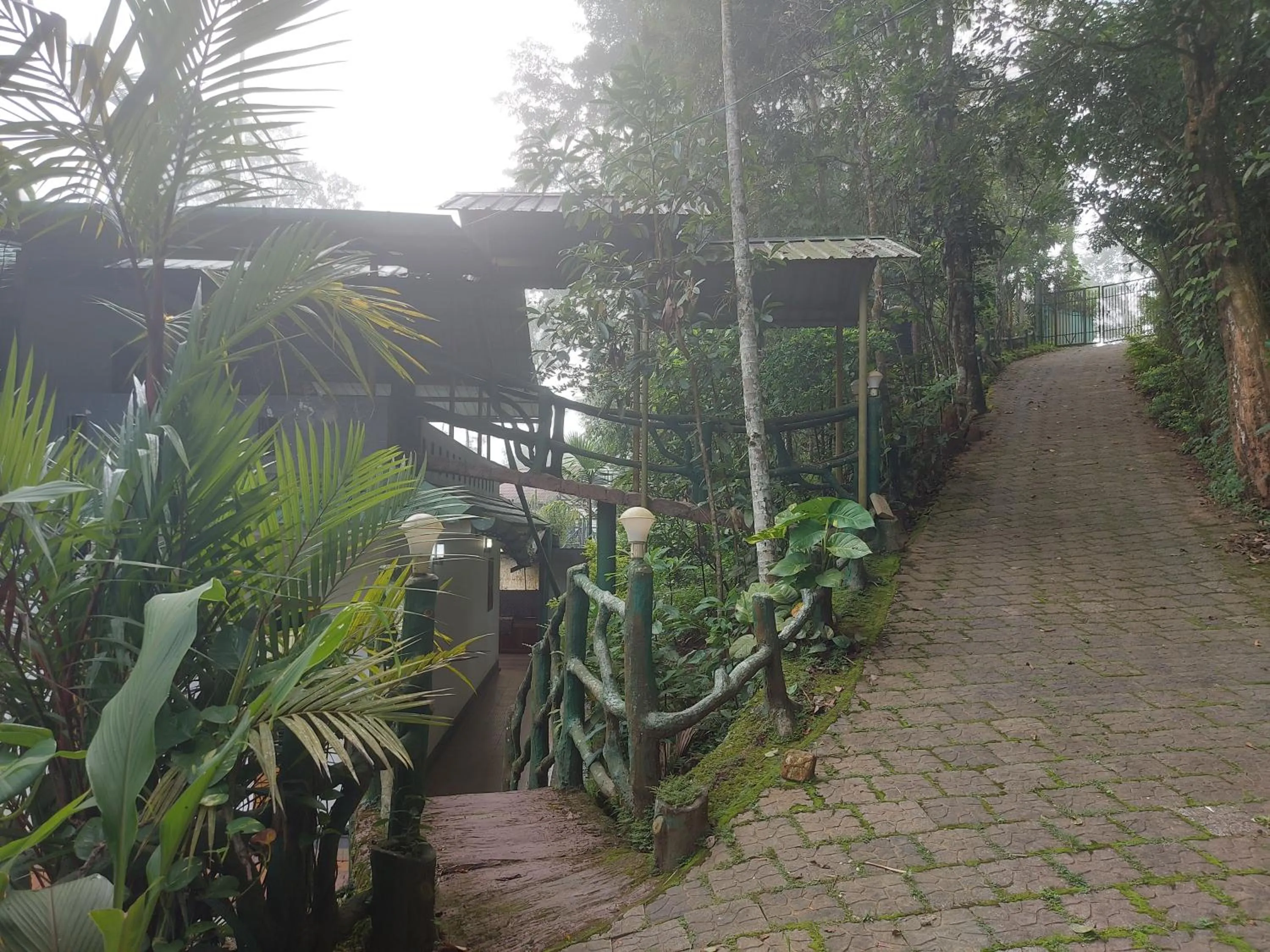 Garden in B'camp Resorts & Homestays