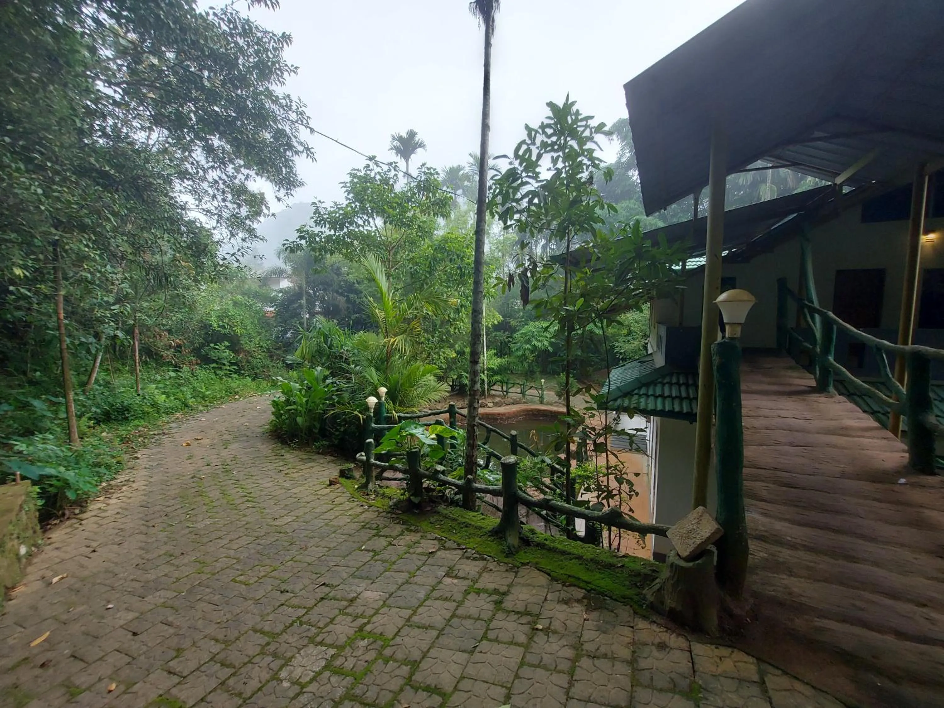 Garden in B'camp Resorts & Homestays