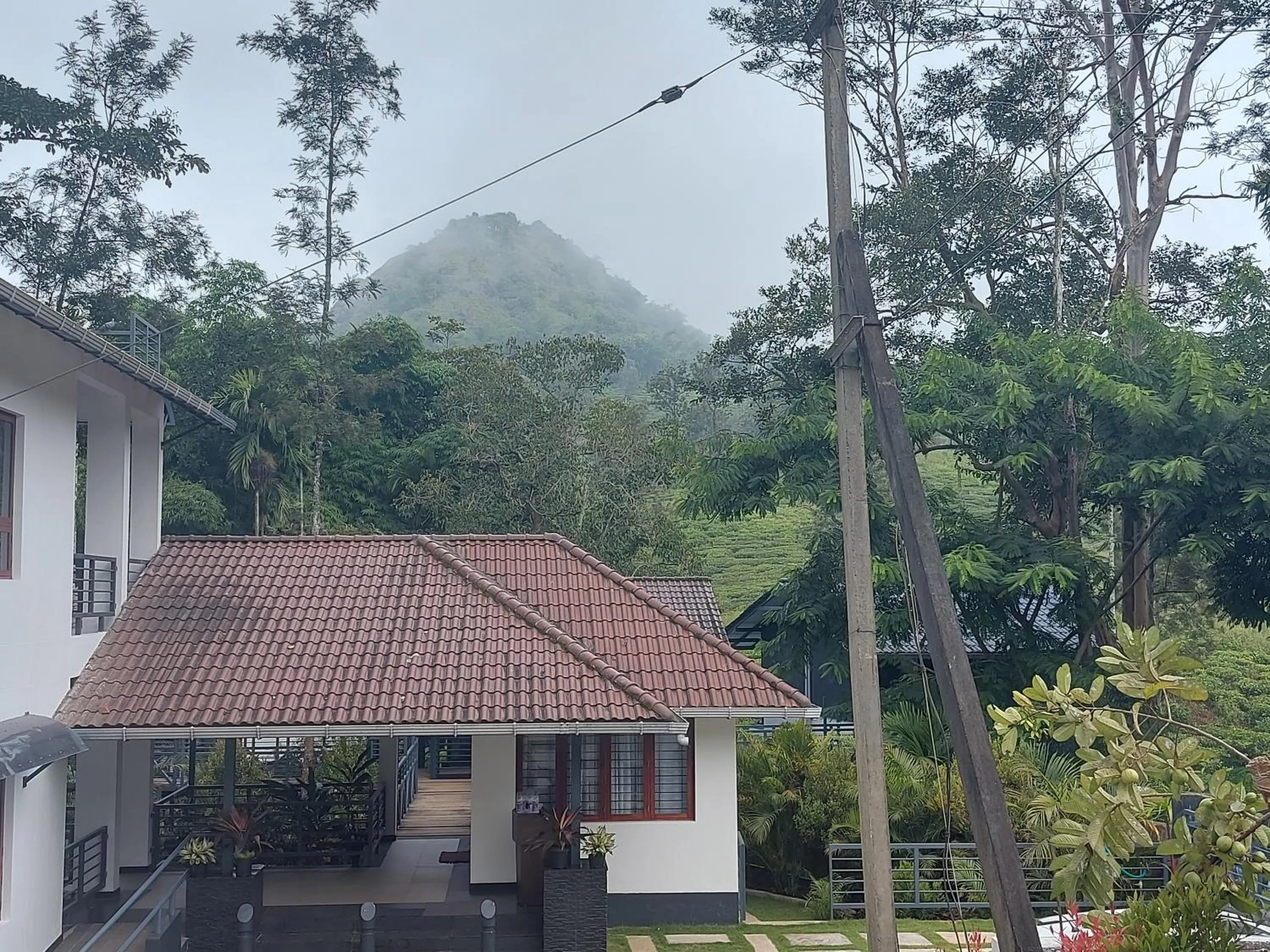 Garden in B'camp Resorts & Homestays