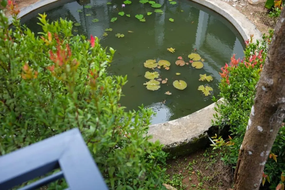 Garden view in B'camp Resorts & Homestays