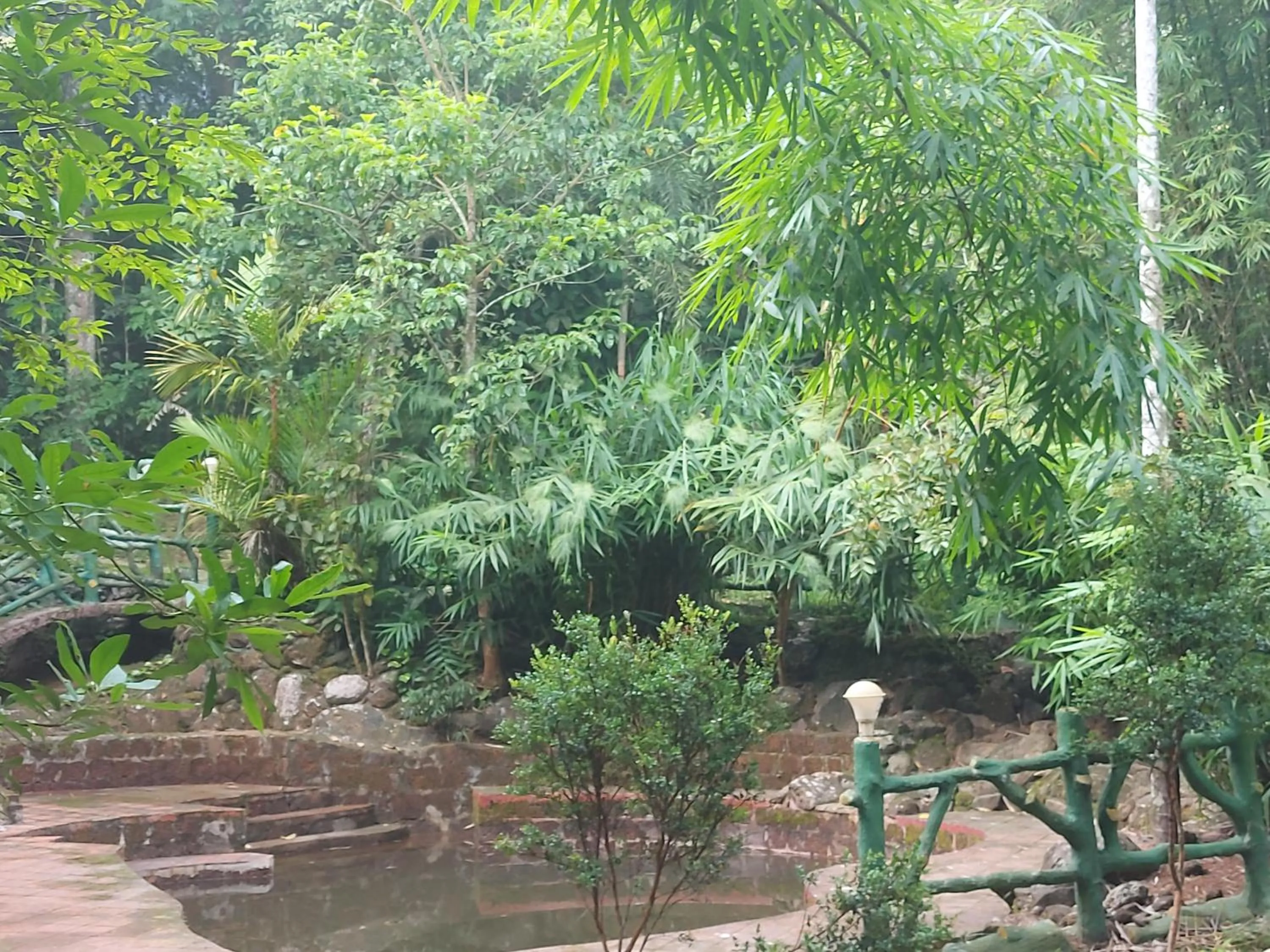 Garden in B'camp Resorts & Homestays