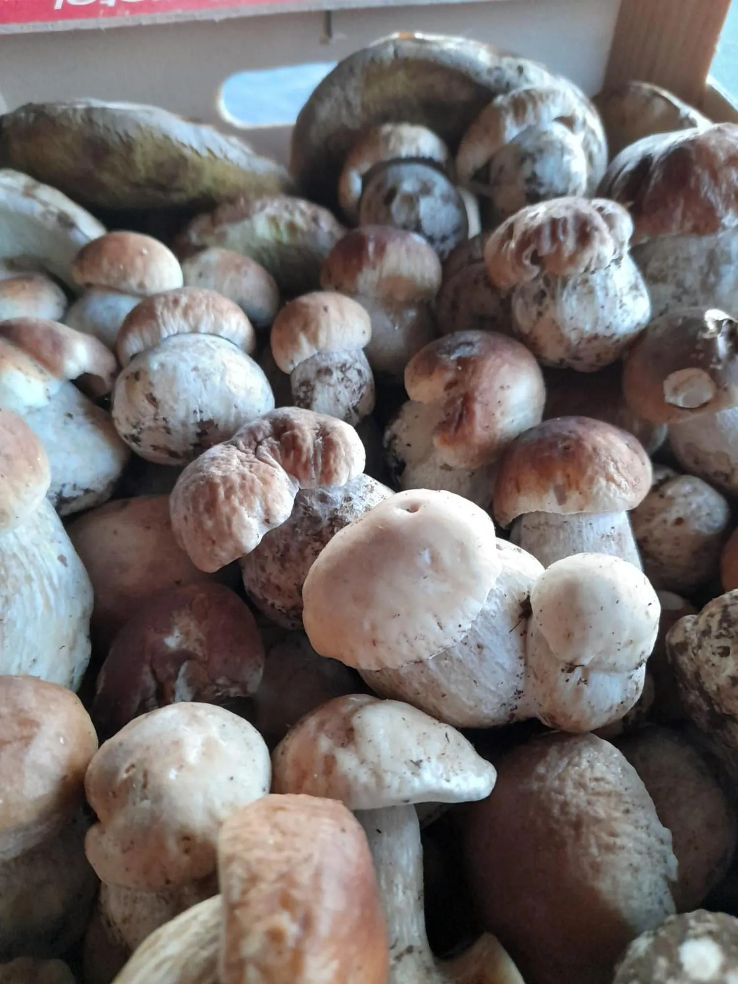 Restaurant/places to eat in Hotel Ristorante La Baitina