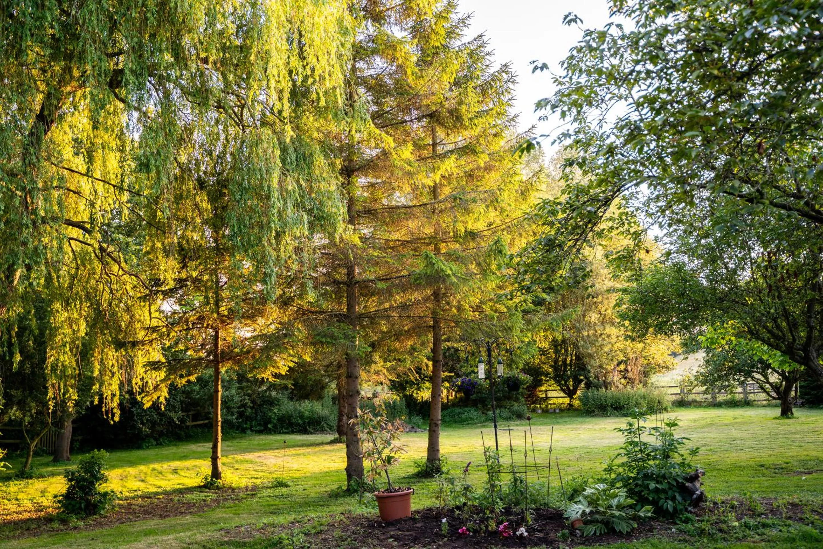 Other in The Dove Inn