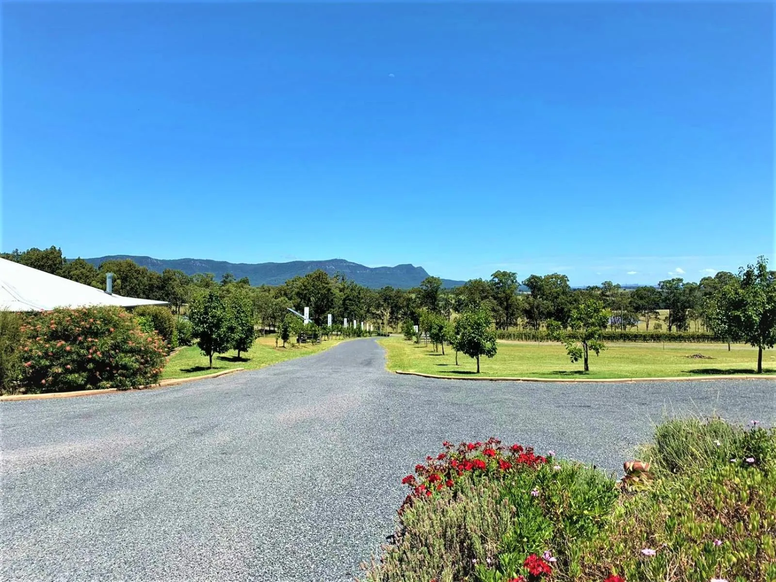 Natural landscape in H Boutique Hotel