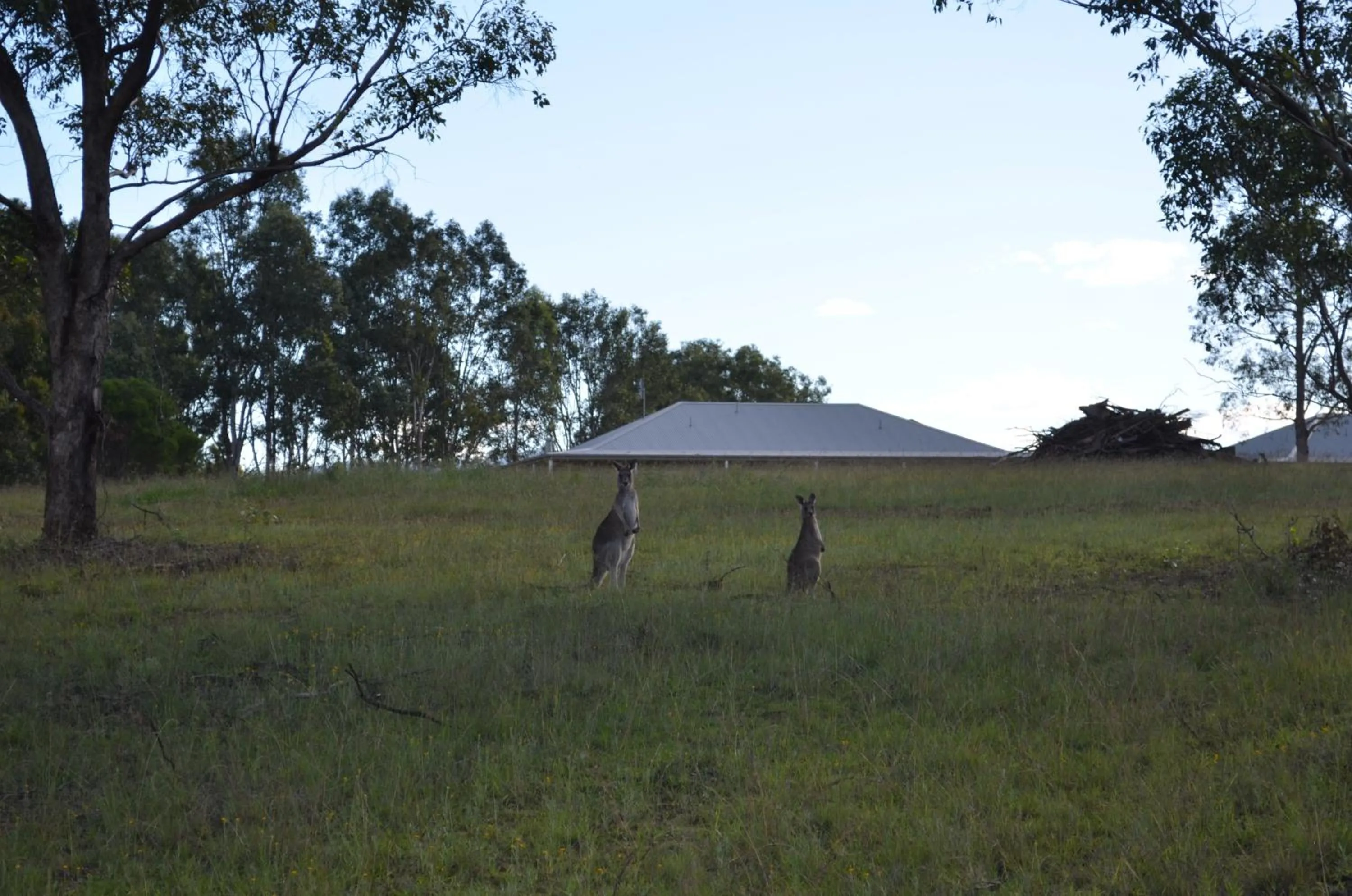 View (from property/room) in H Boutique Hotel
