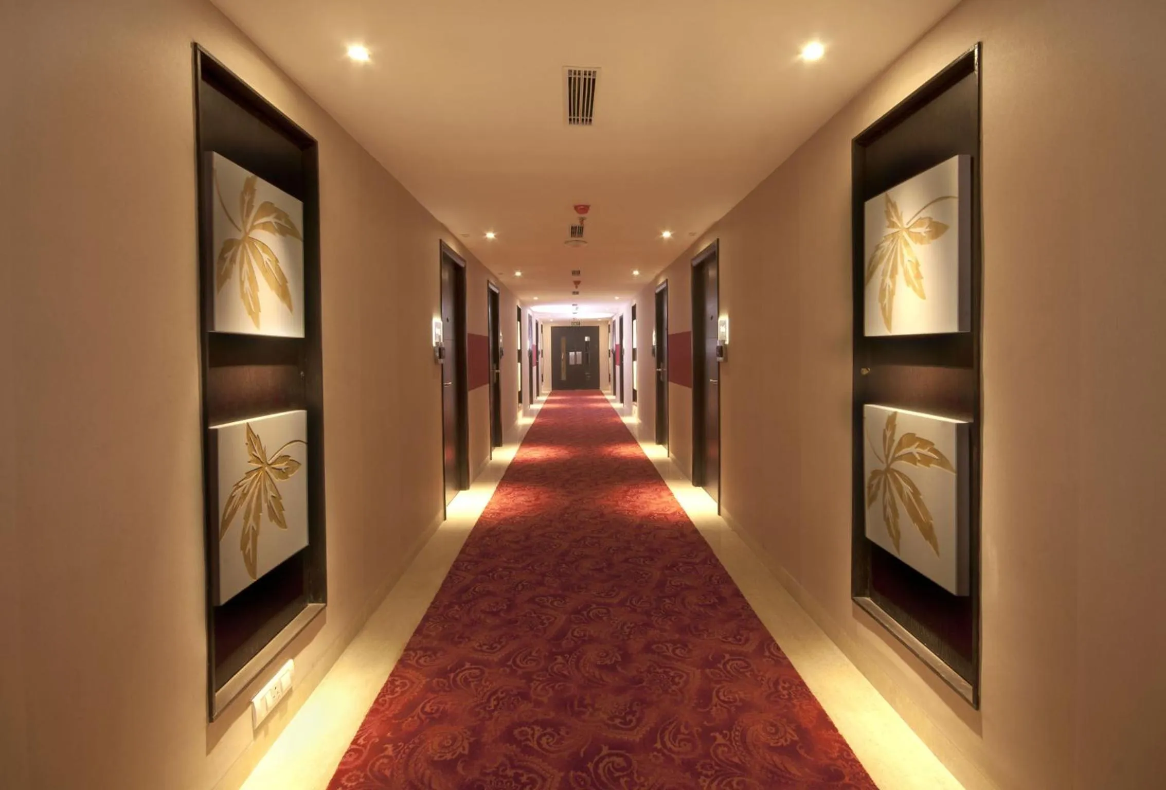 Area and facilities in Hotel Senses