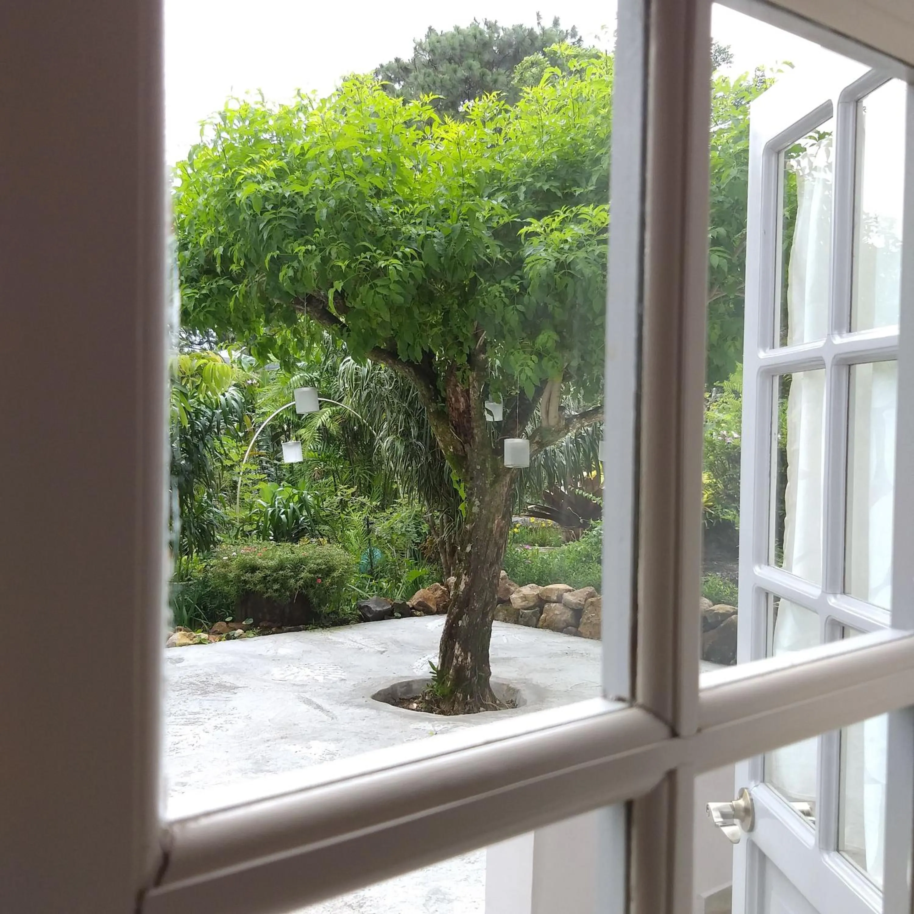 Patio in SCHUMANN'S RESORT & PARK