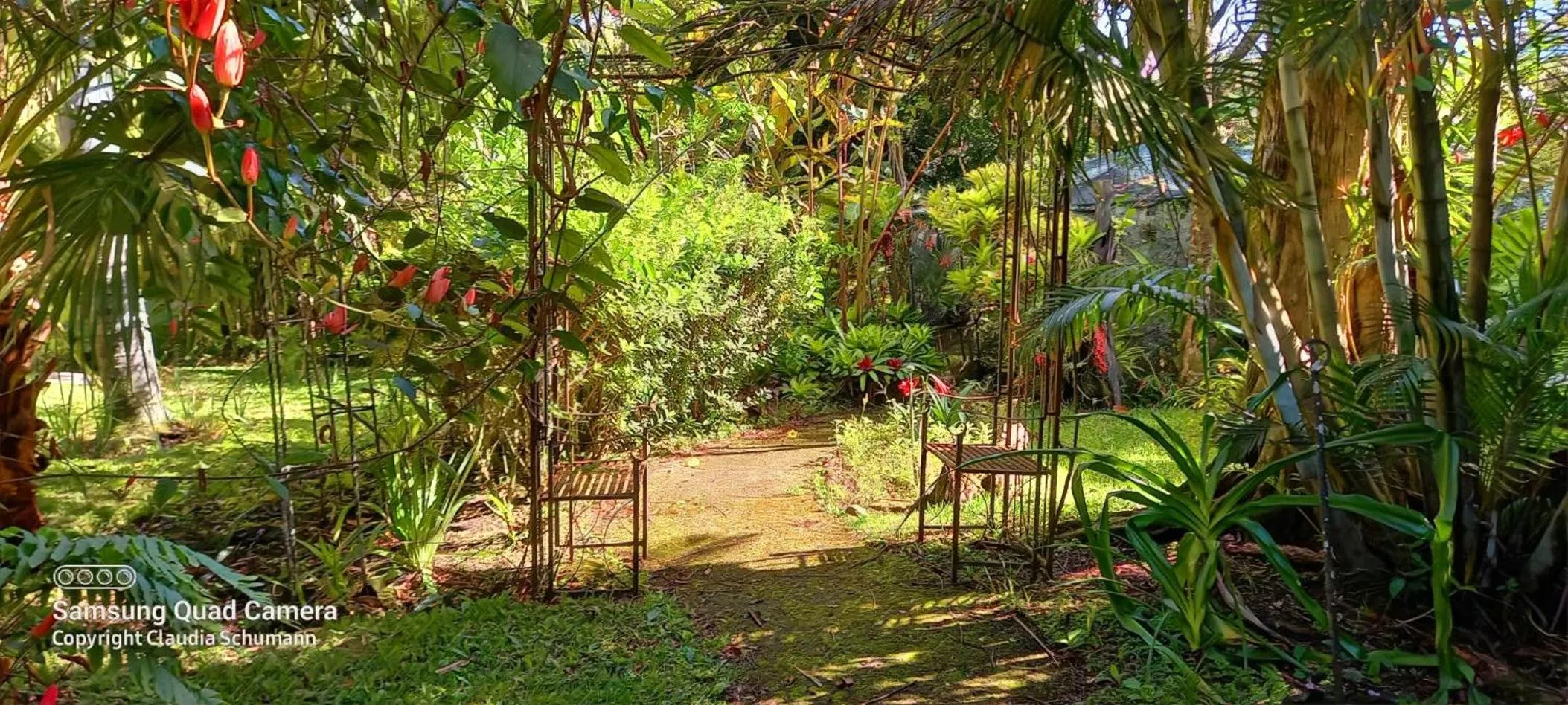 Natural landscape in SCHUMANN'S RESORT & PARK