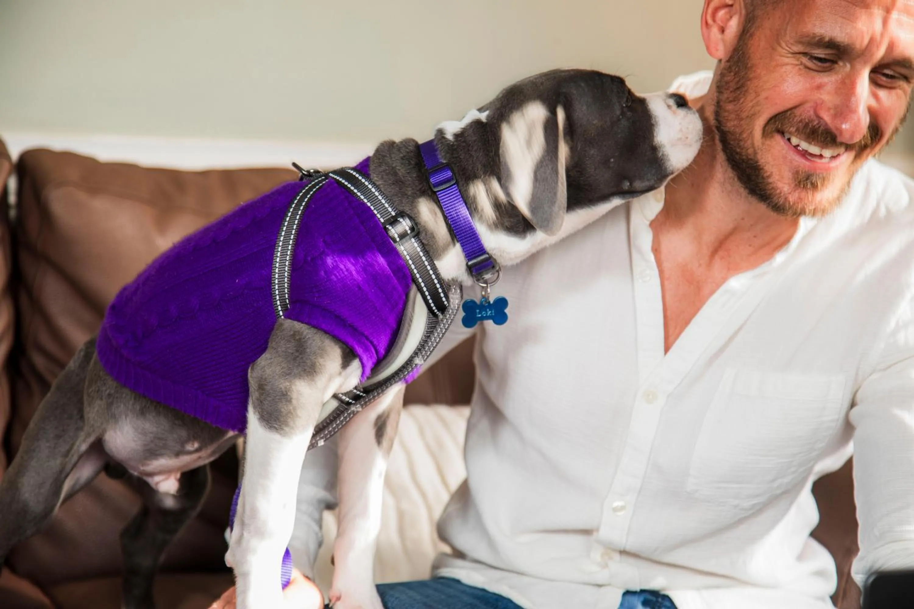 Pets in Mercure Hull Grange Park Hotel