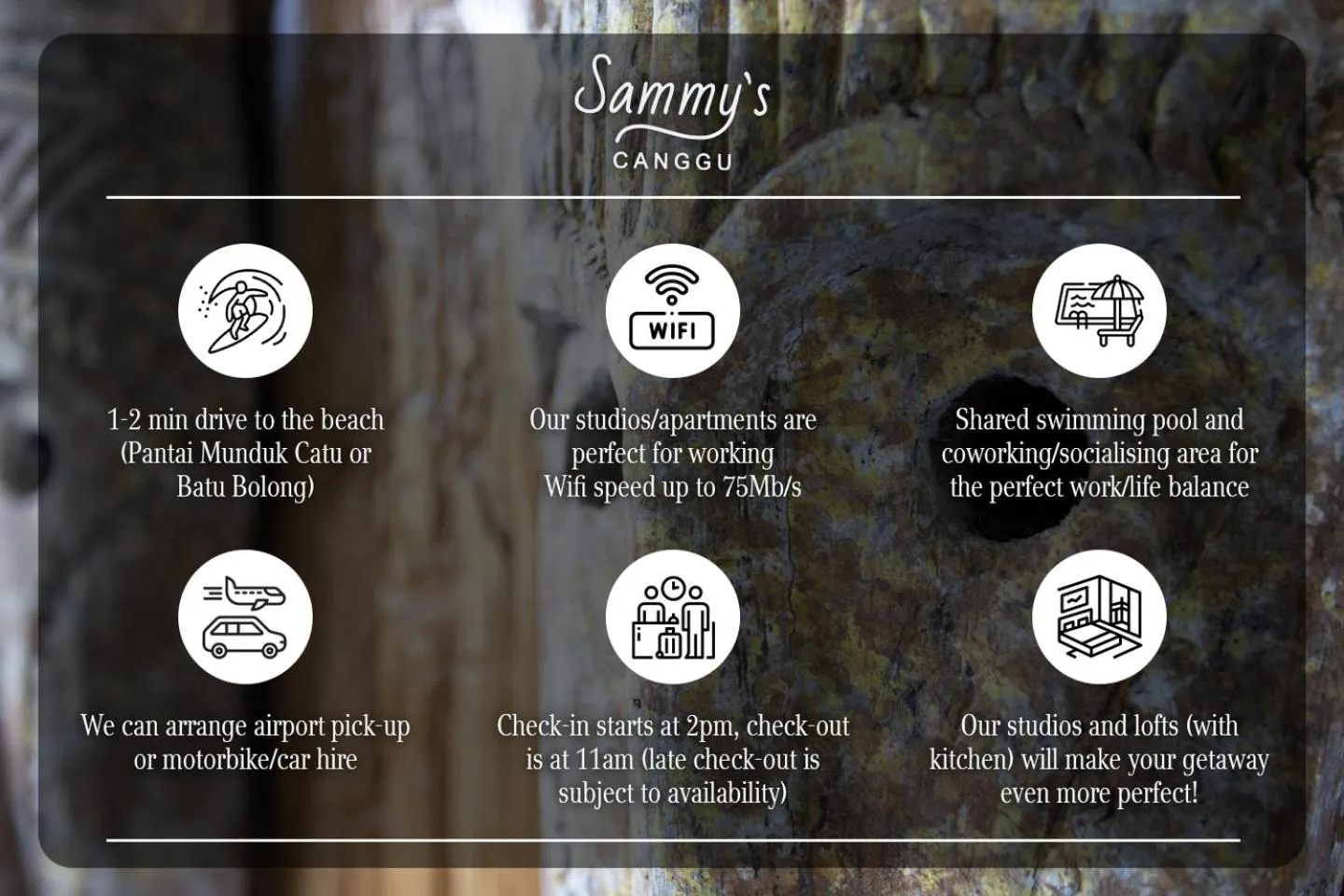 Activities in Sammy's Canggu