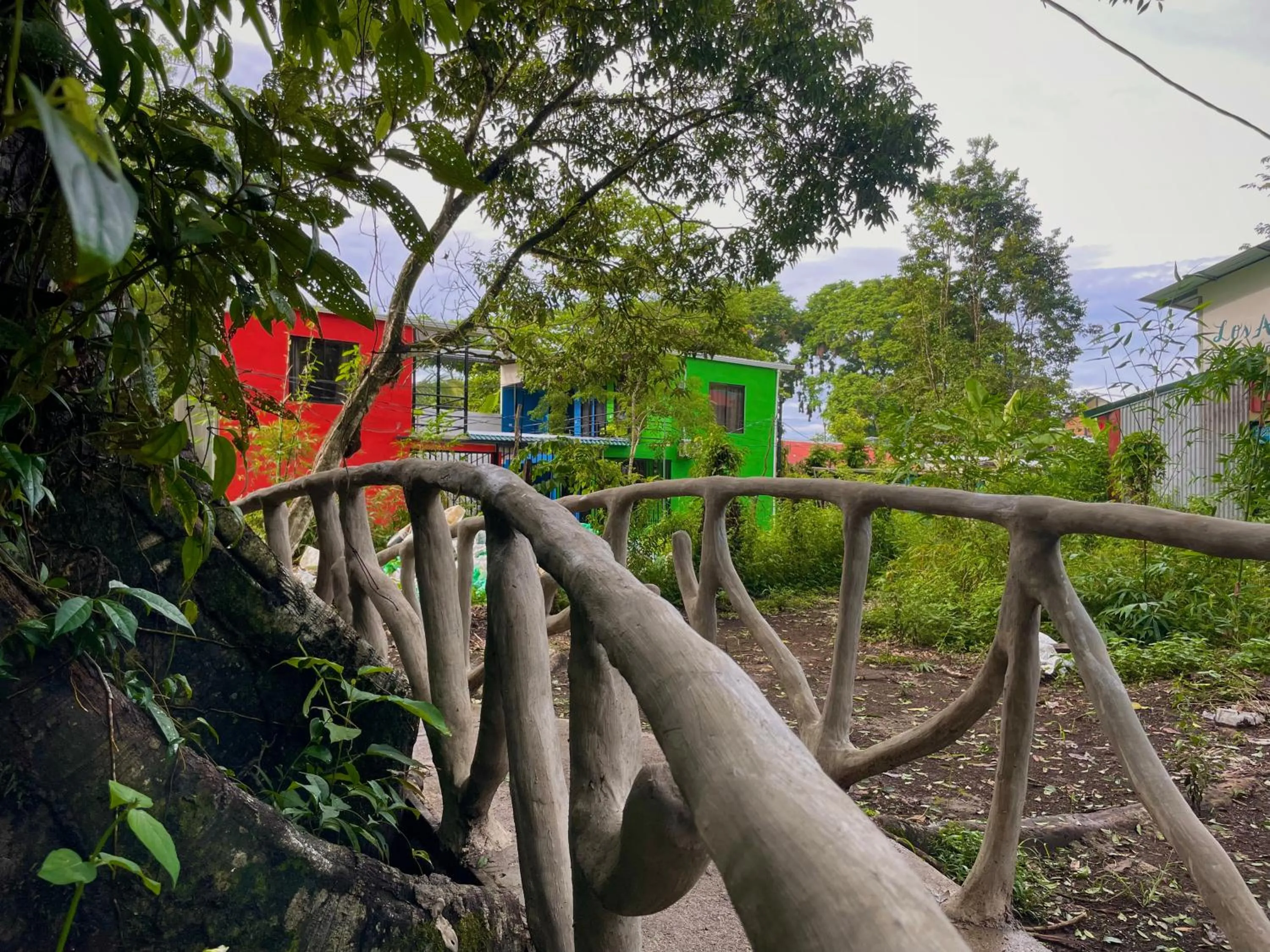 Natural landscape in Carey Lodging