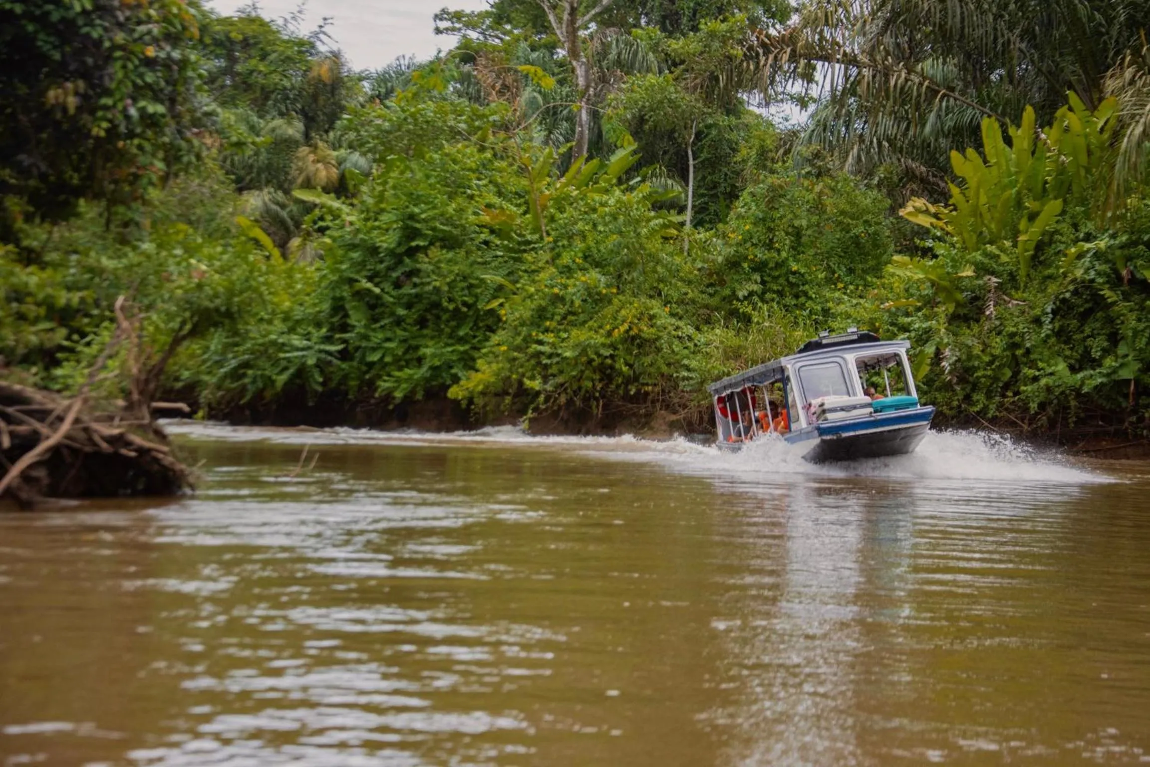 Natural landscape in Carey Lodging