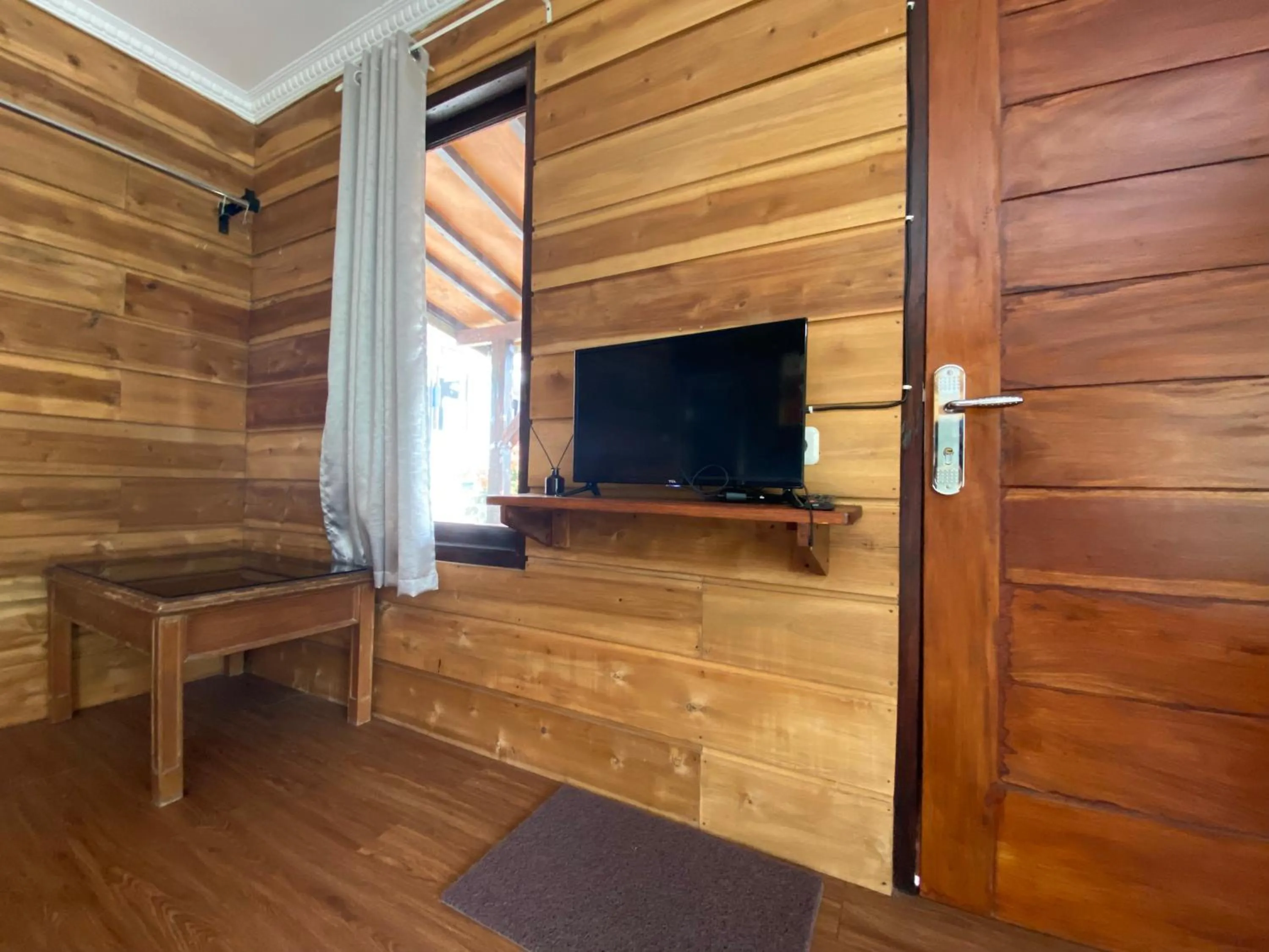 TV and multimedia in Shine River