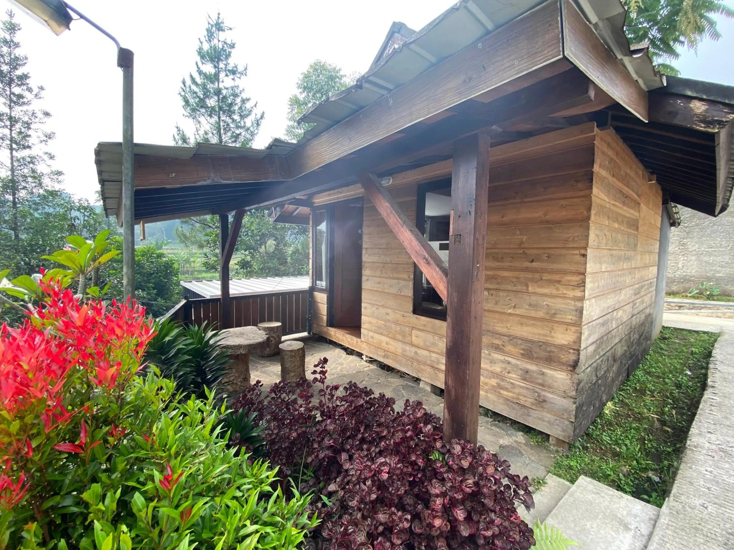 Property building in Shine River