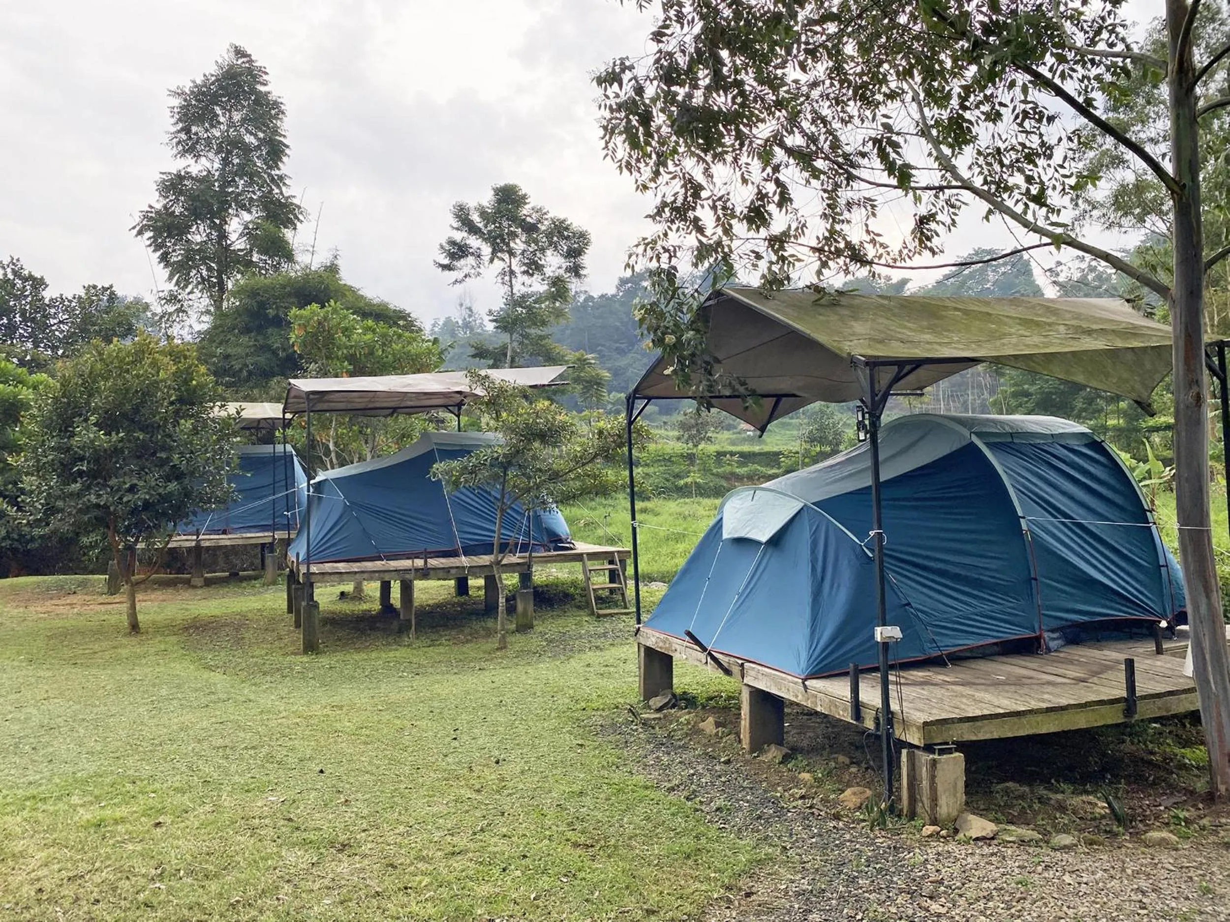 Property building in Shine River