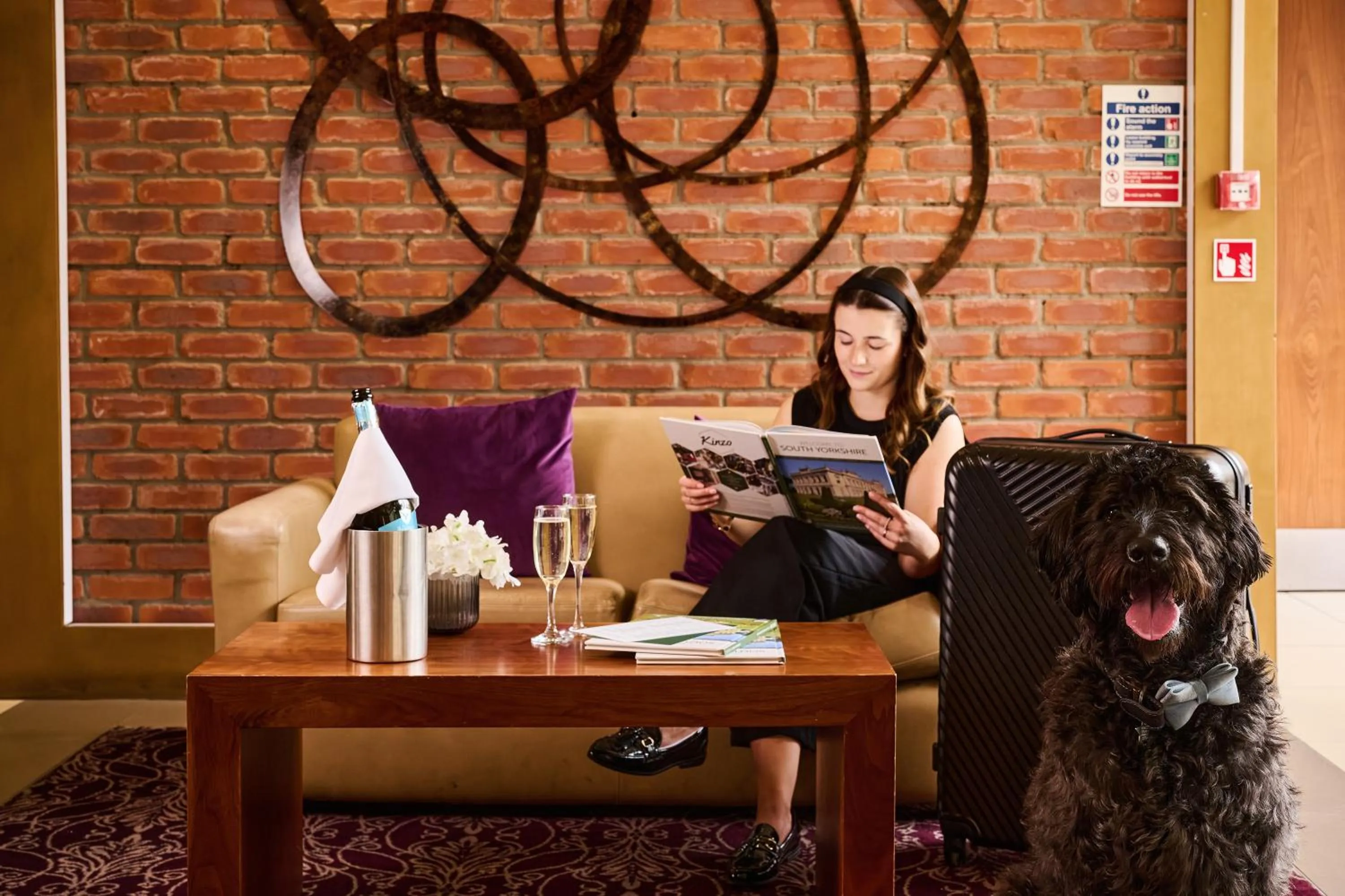 Pets in The Rutland Hotel