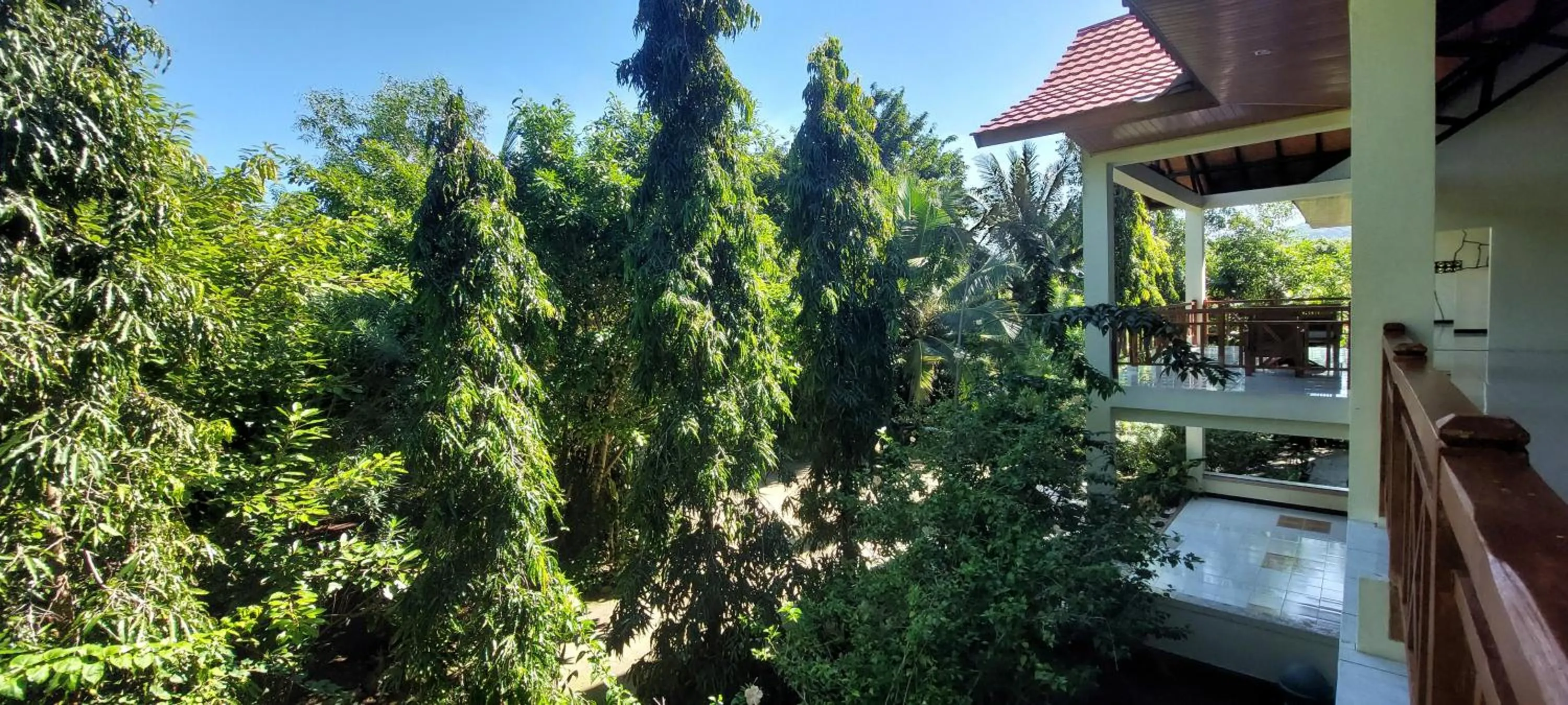 Garden in Hôtel La Belle Etoile