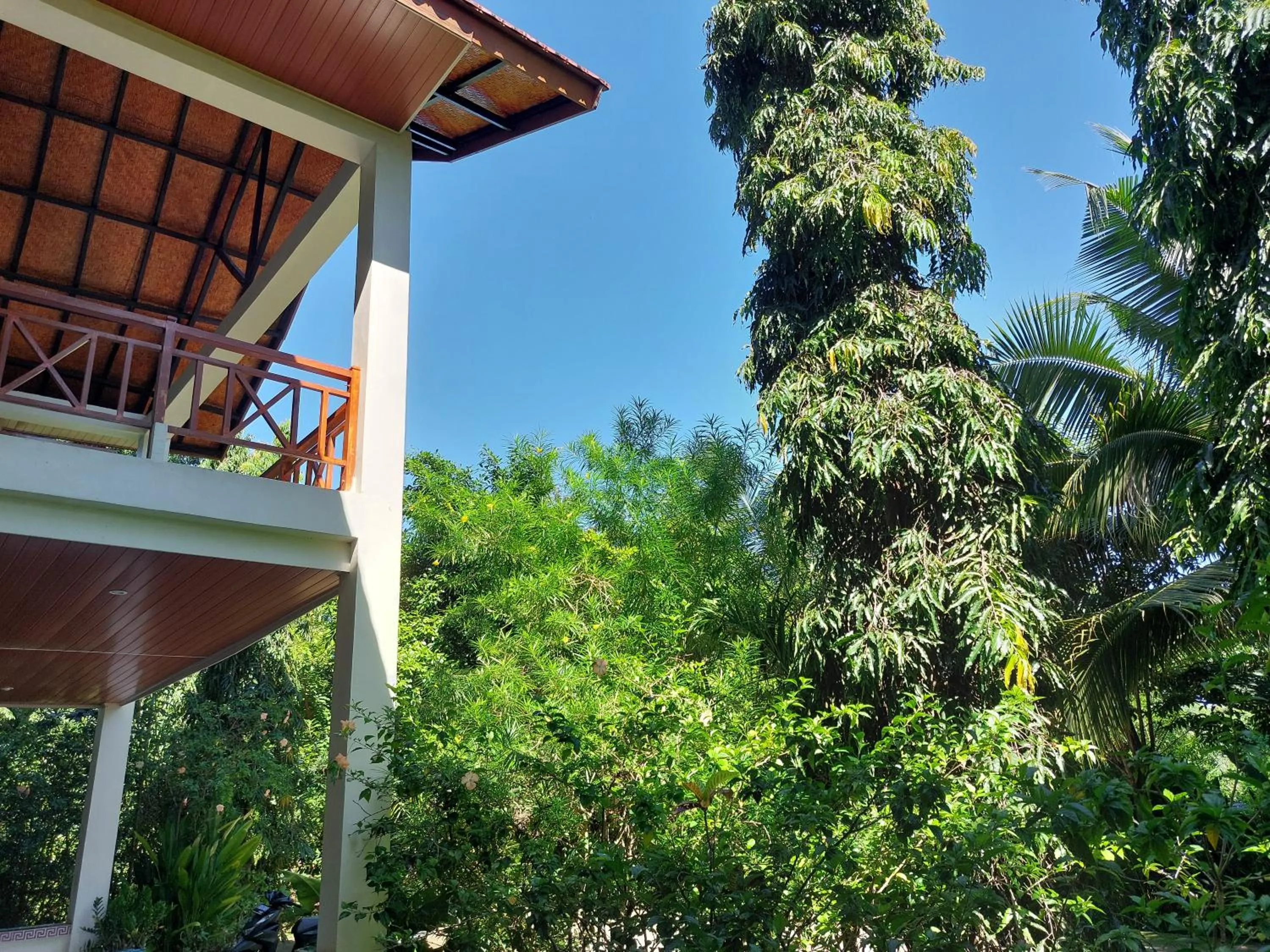 Garden in Hôtel La Belle Etoile