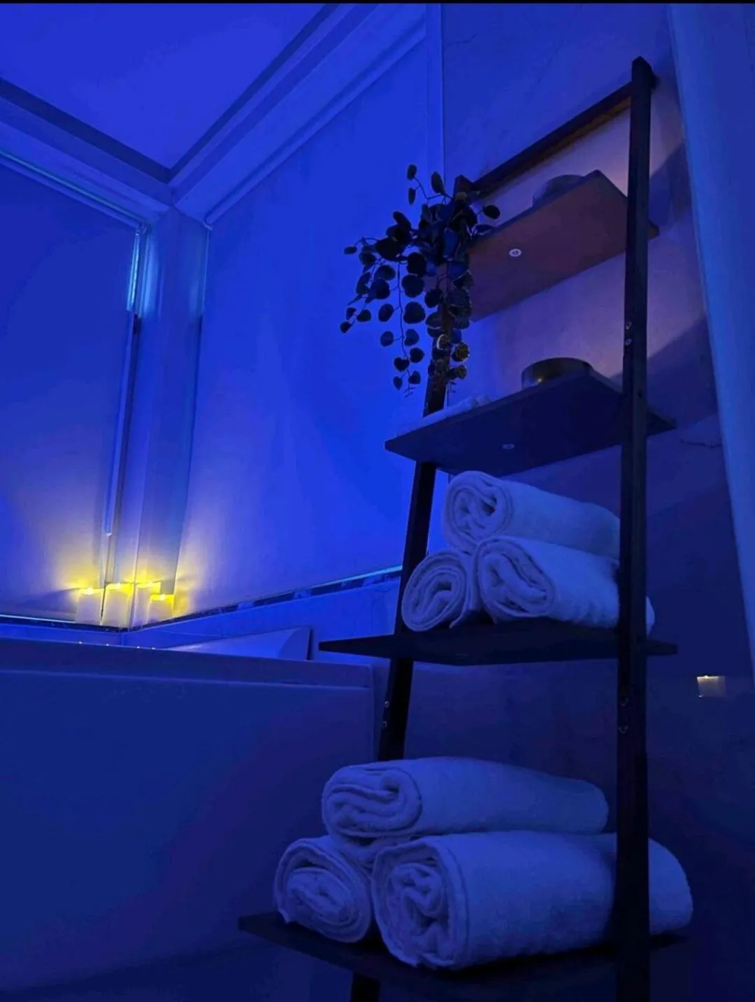 Sublime appartement Calme Cosy & Jacuzzi