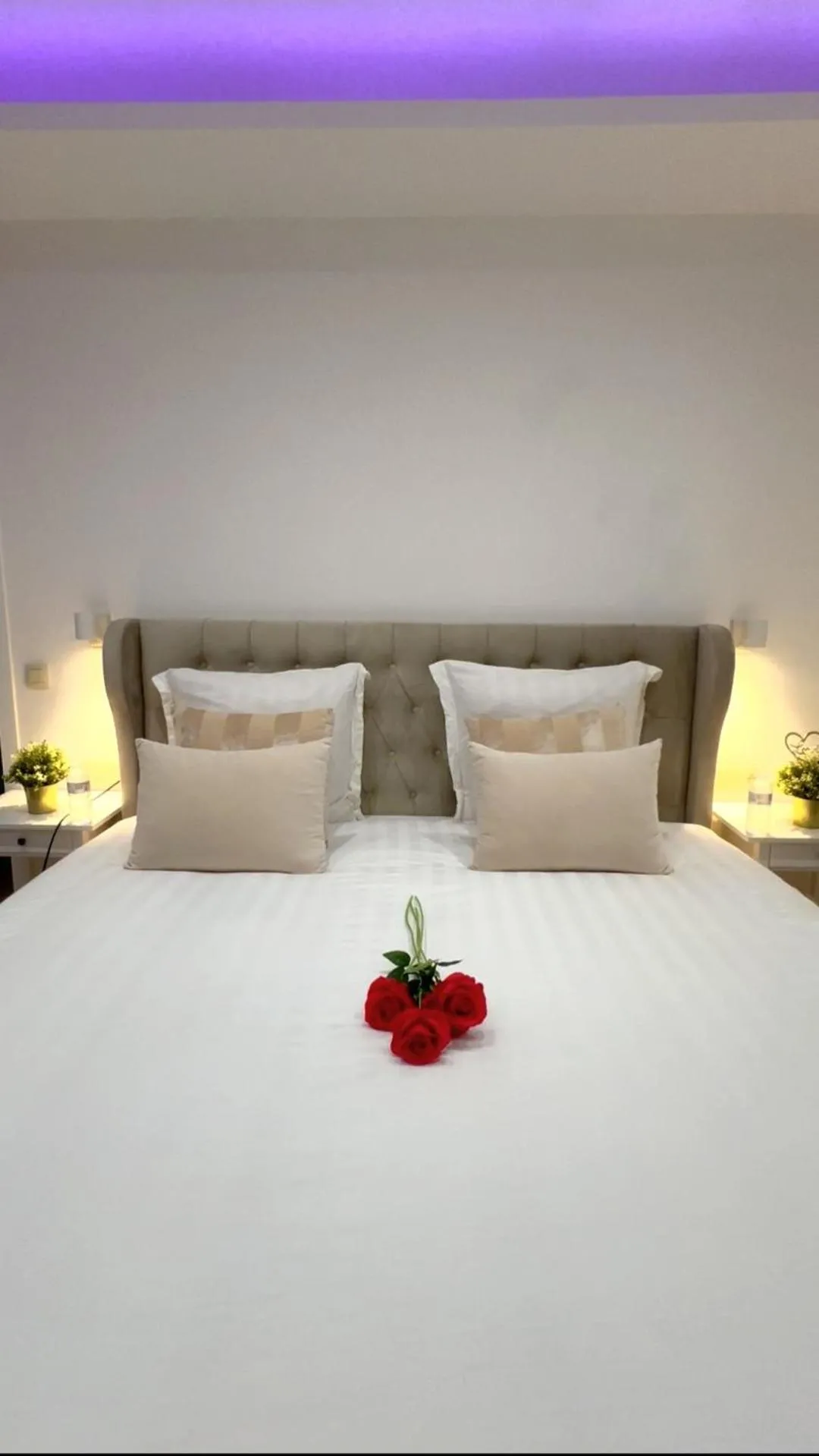 Sublime appartement Calme Cosy & Jacuzzi