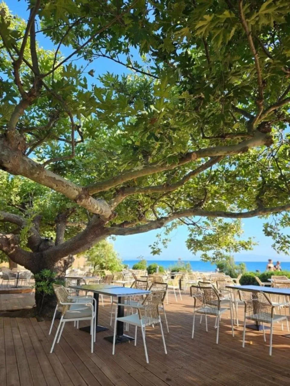 Restaurant/places to eat in Ninos Grand Beach Resort