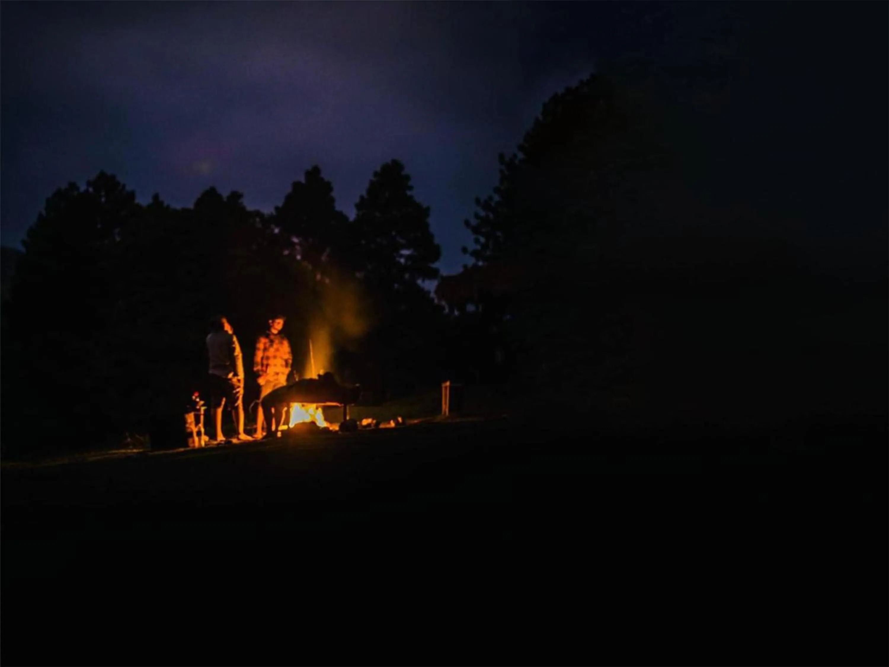 View (from property/room) in Esperanza Beach Mawella
