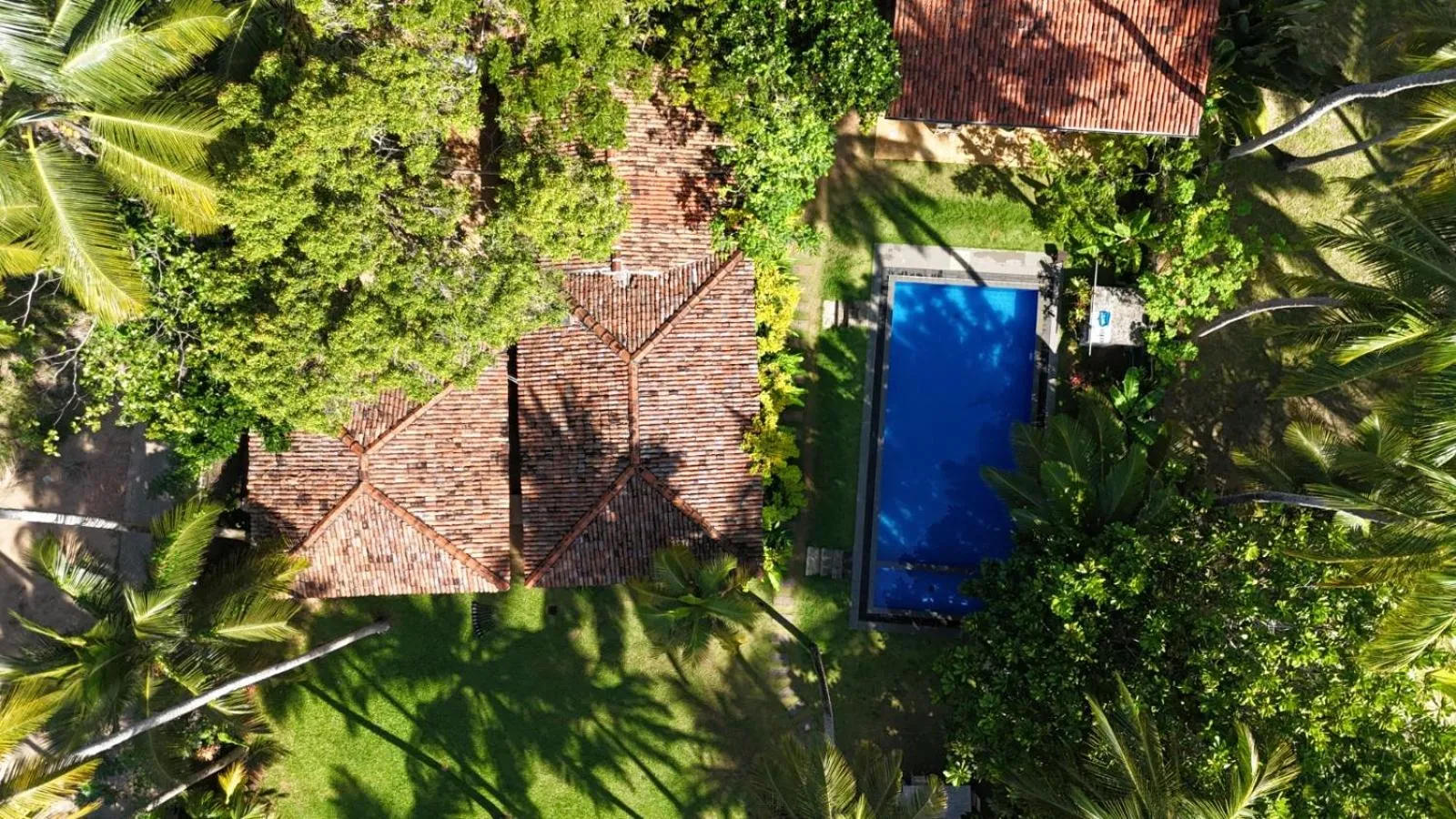 Bird's eye view in Esperanza Beach Mawella