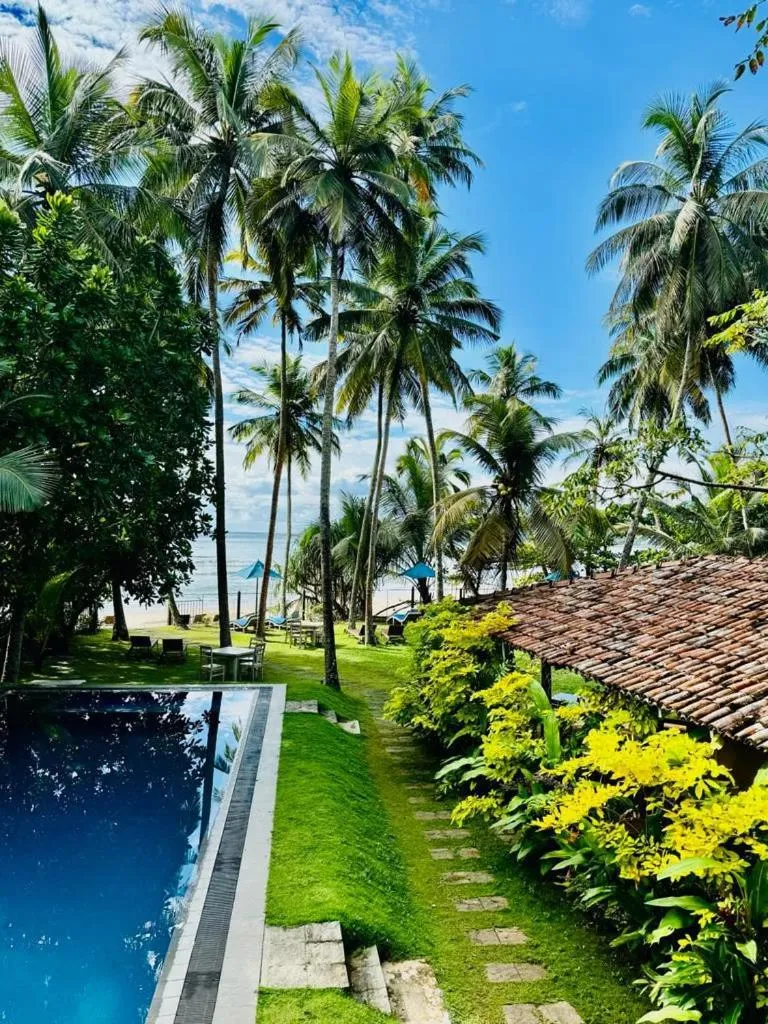 Swimming pool in Esperanza Beach Mawella