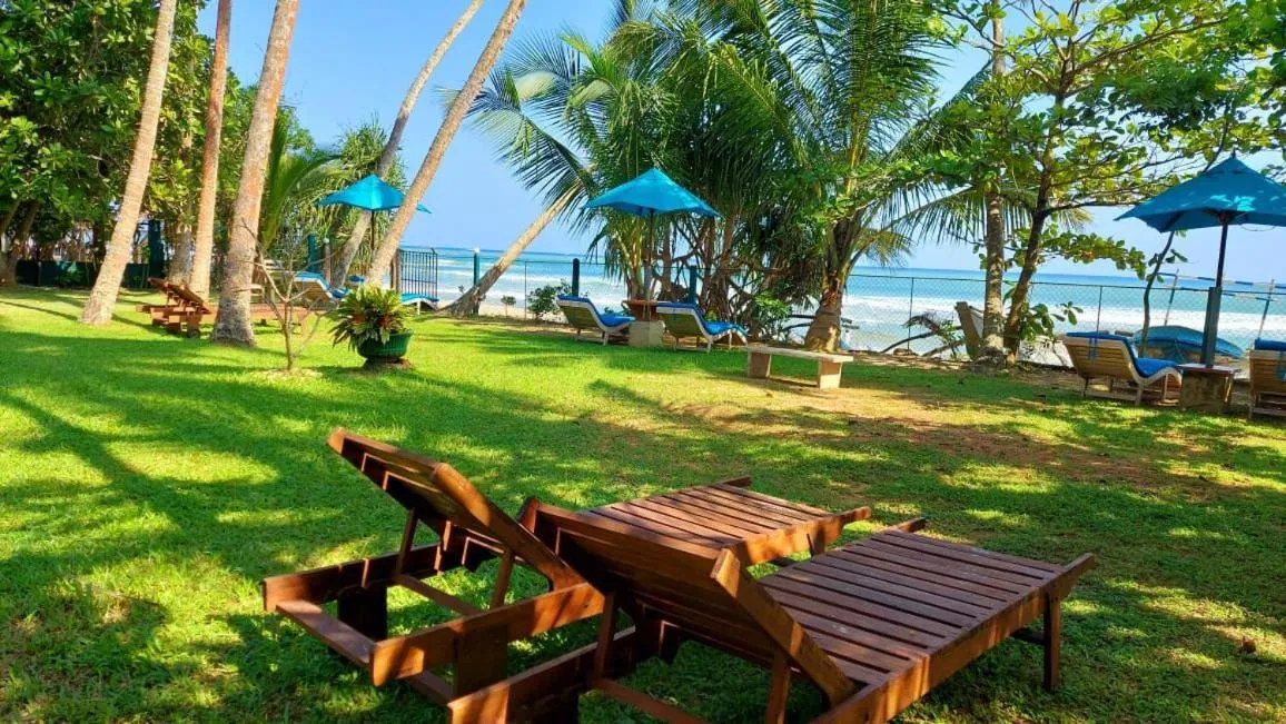 Garden view in Esperanza Beach Mawella
