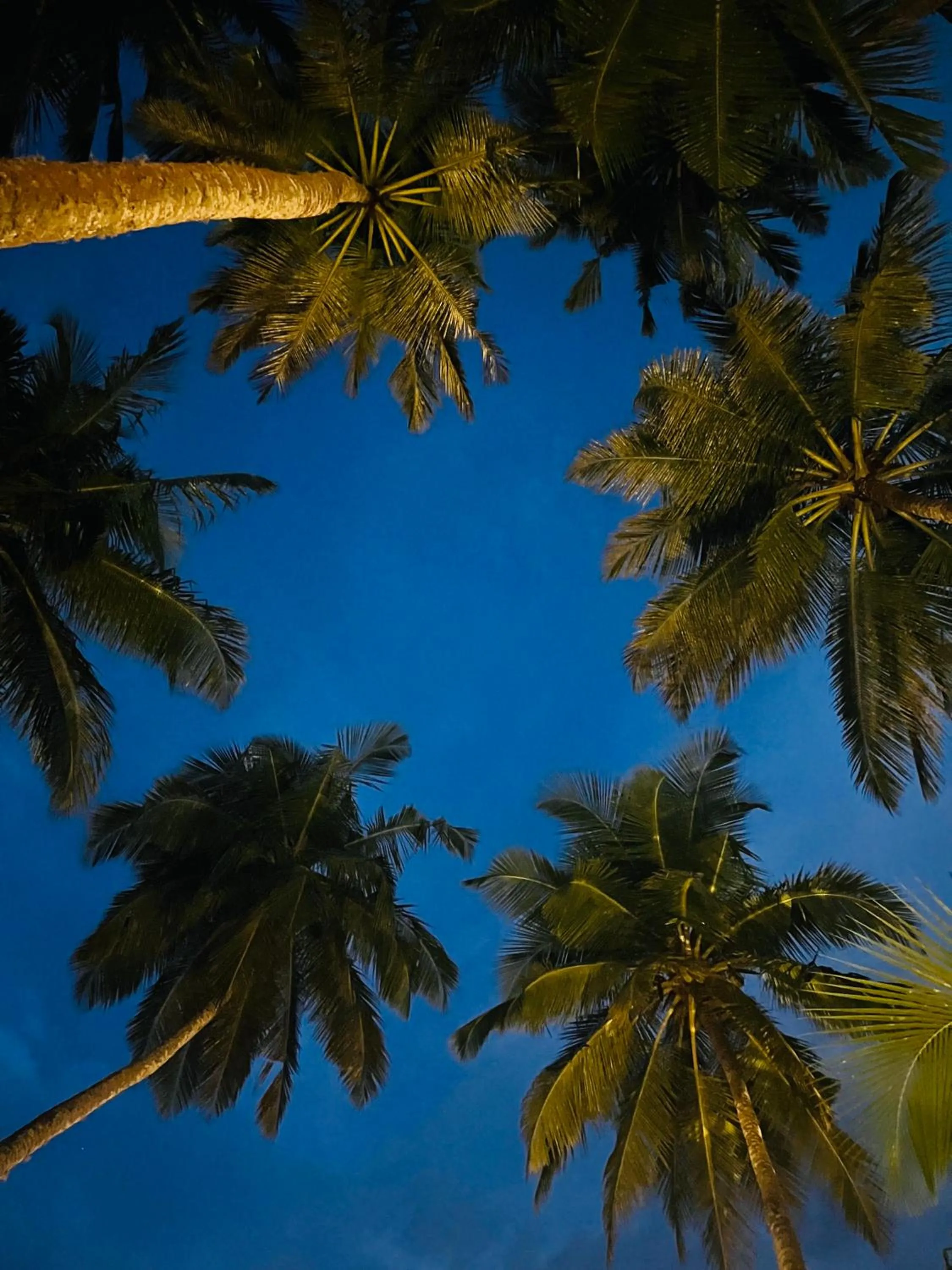 Night in Esperanza Beach Mawella