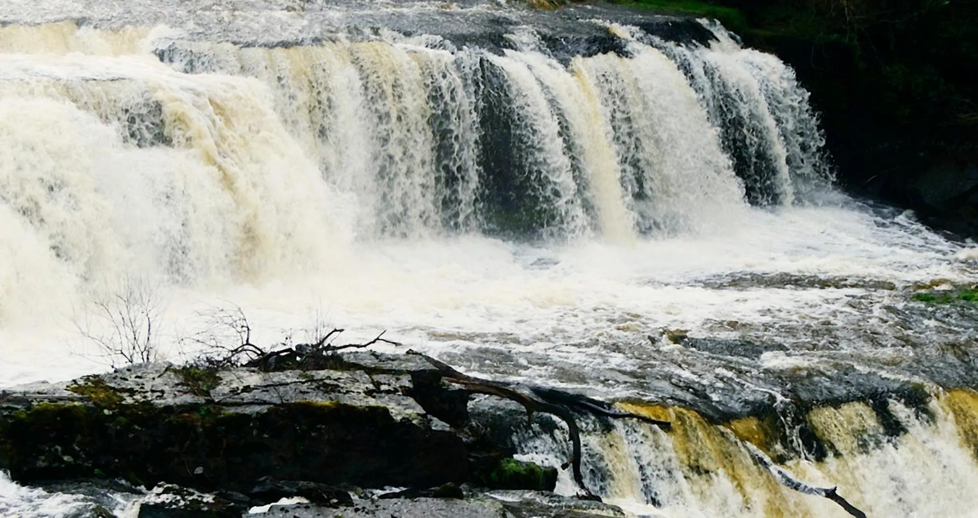 Natural landscape in Station House Bed & Breakfast