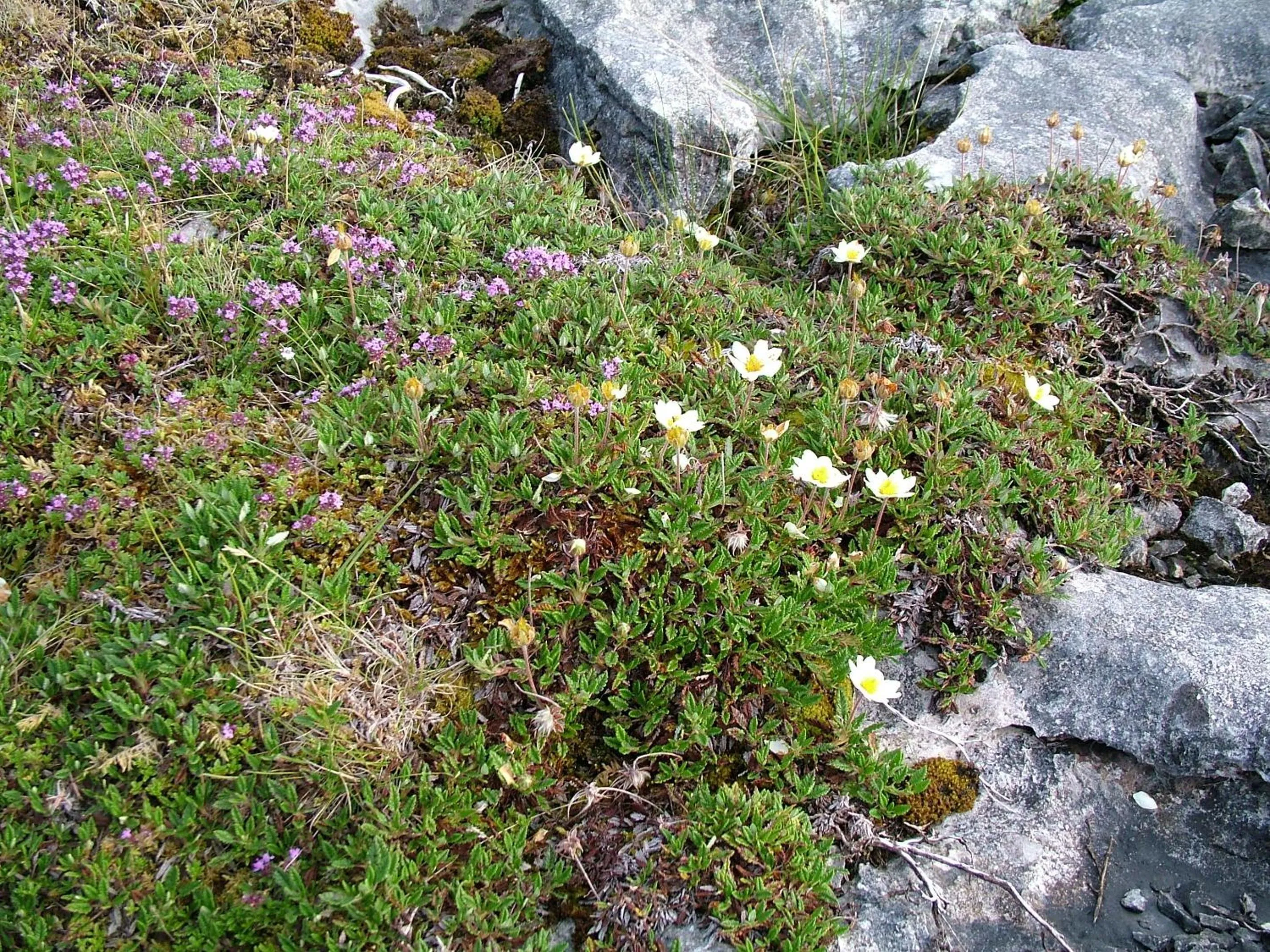 Hiking in Station House Bed & Breakfast