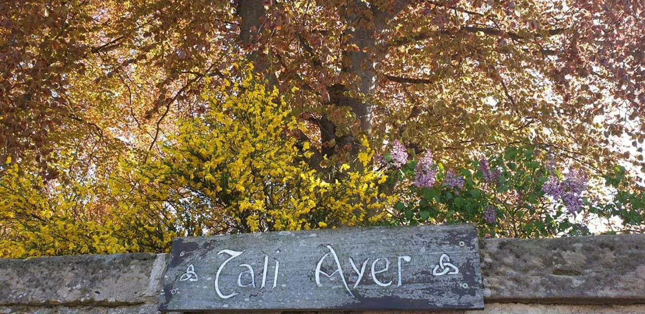 Property logo or sign in Tali Ayer