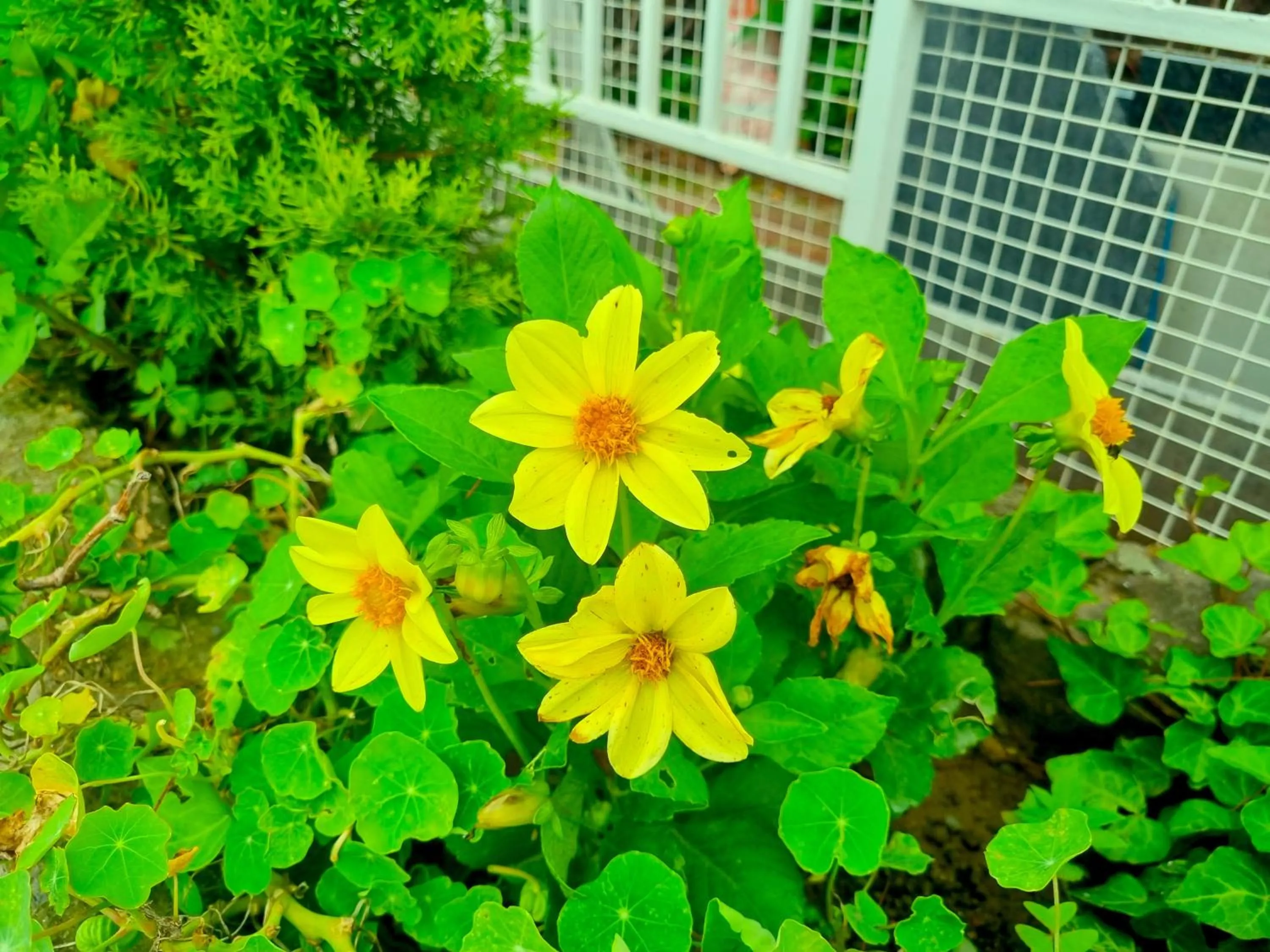 Property building in Hotel Wood Stock Luxury - A Boutique Property - Penthouse - Open Air Restaurant & Terrace