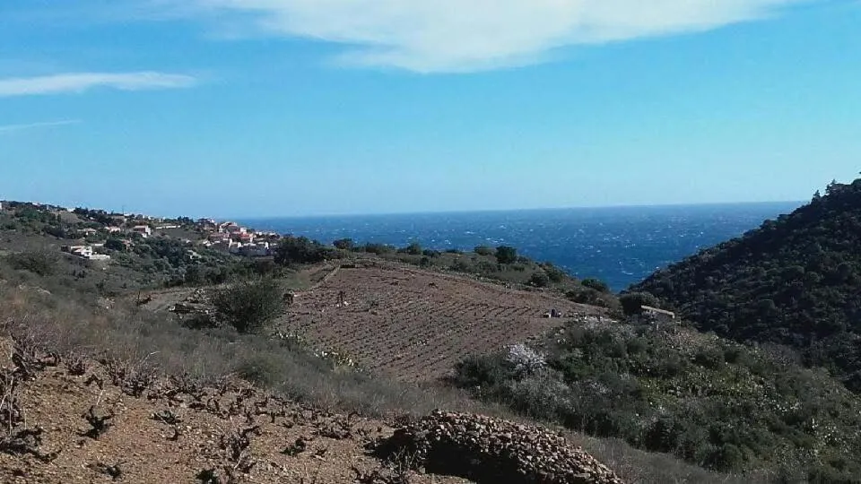 Natural landscape in Hôtel Le Ribéral