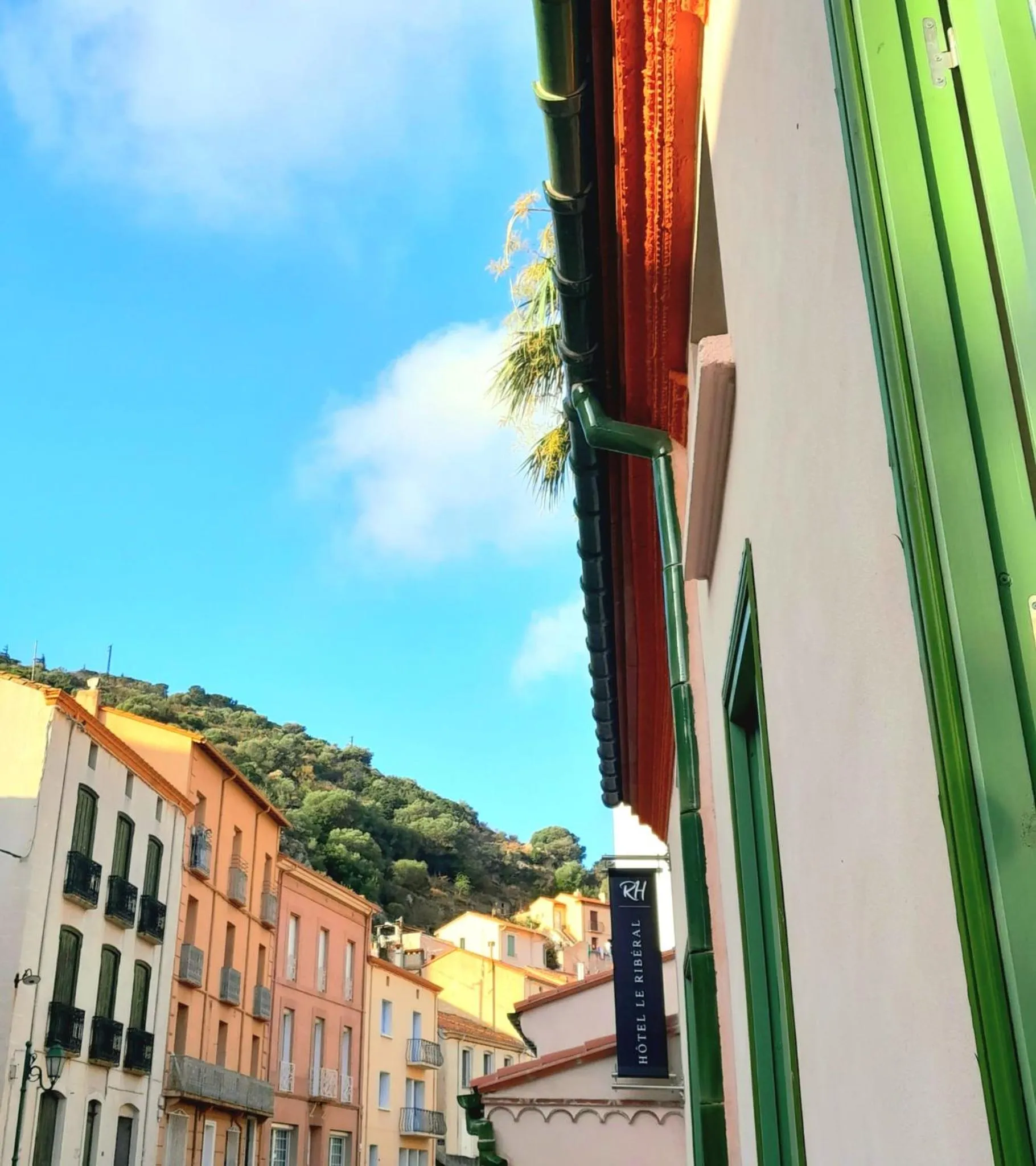 Property building in Hôtel Le Ribéral