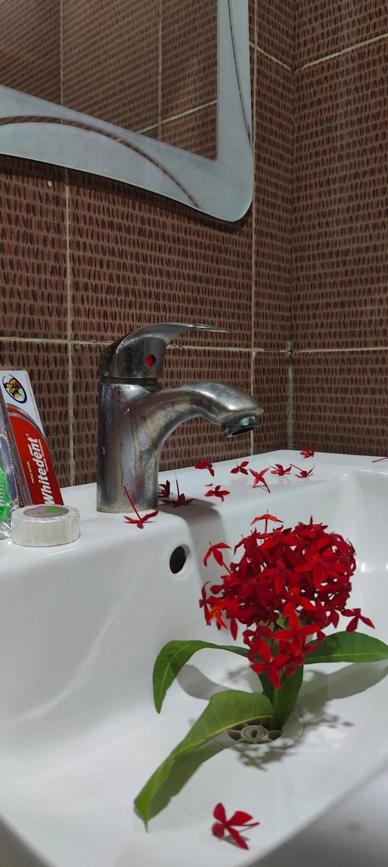 Paradiso Hotels & Resorts