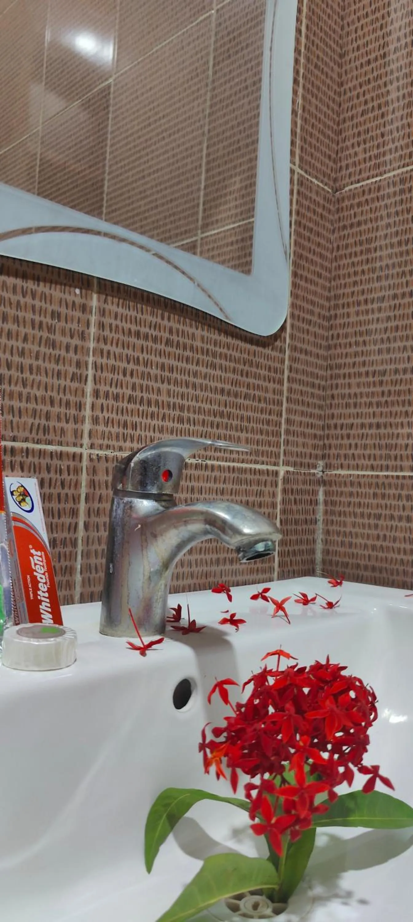 Paradiso Hotels & Resorts