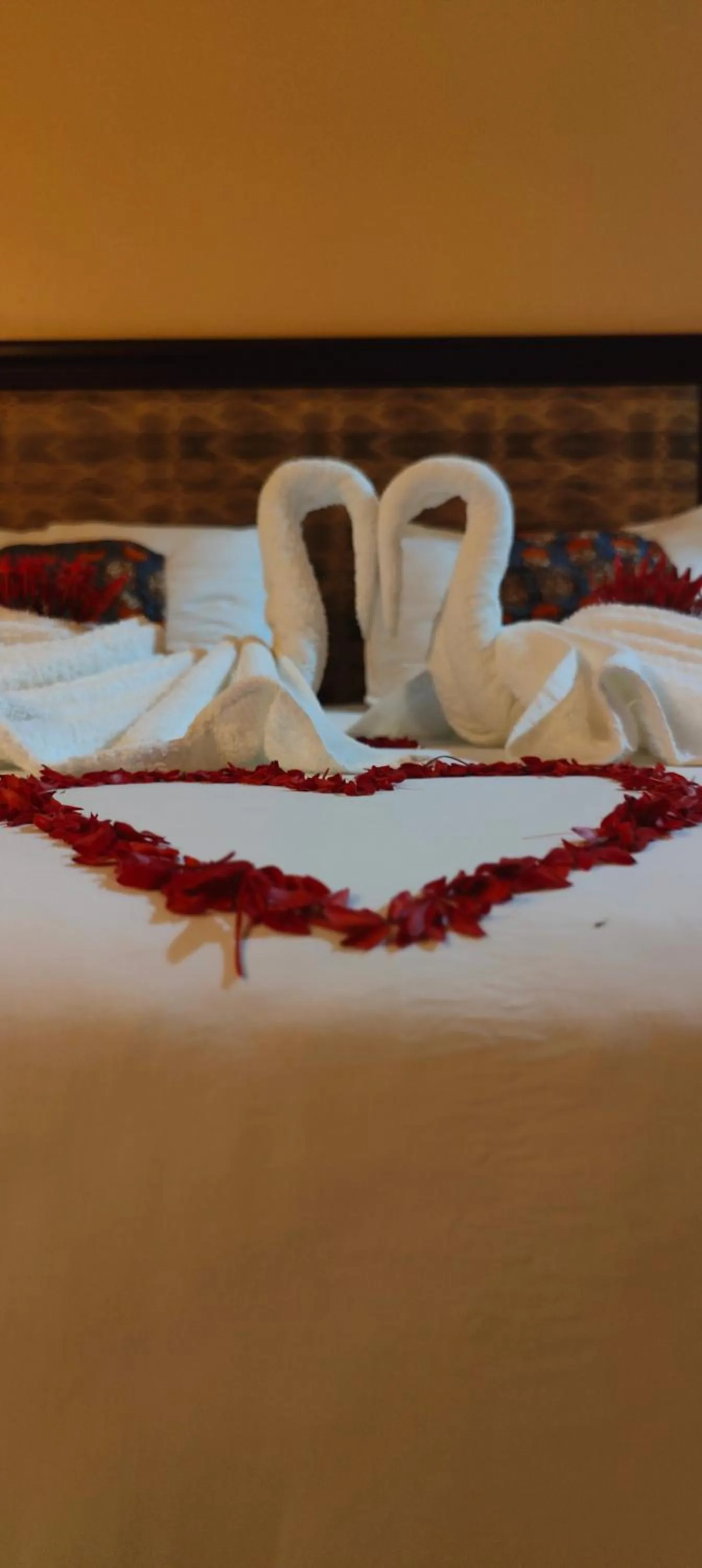 Paradiso Hotels & Resorts