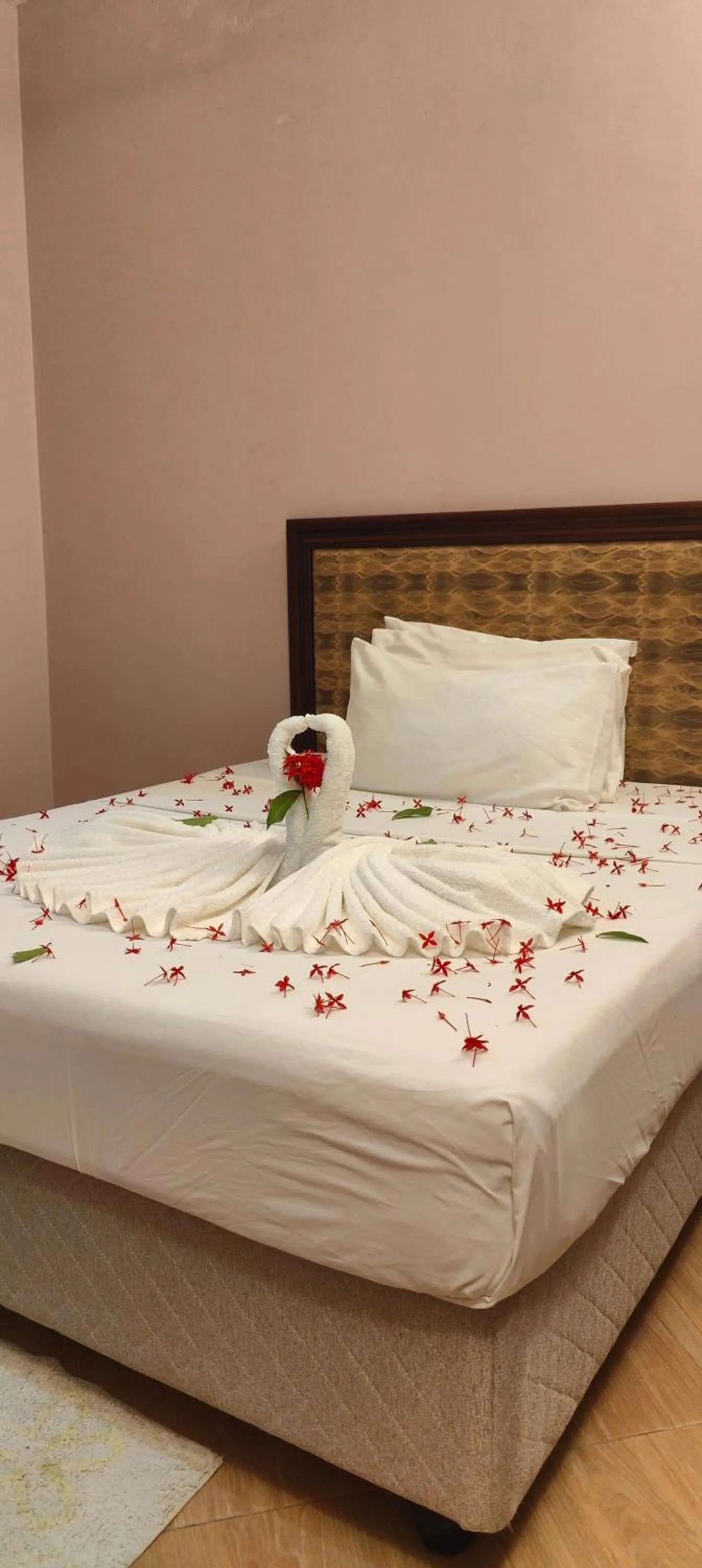 Paradiso Hotels & Resorts